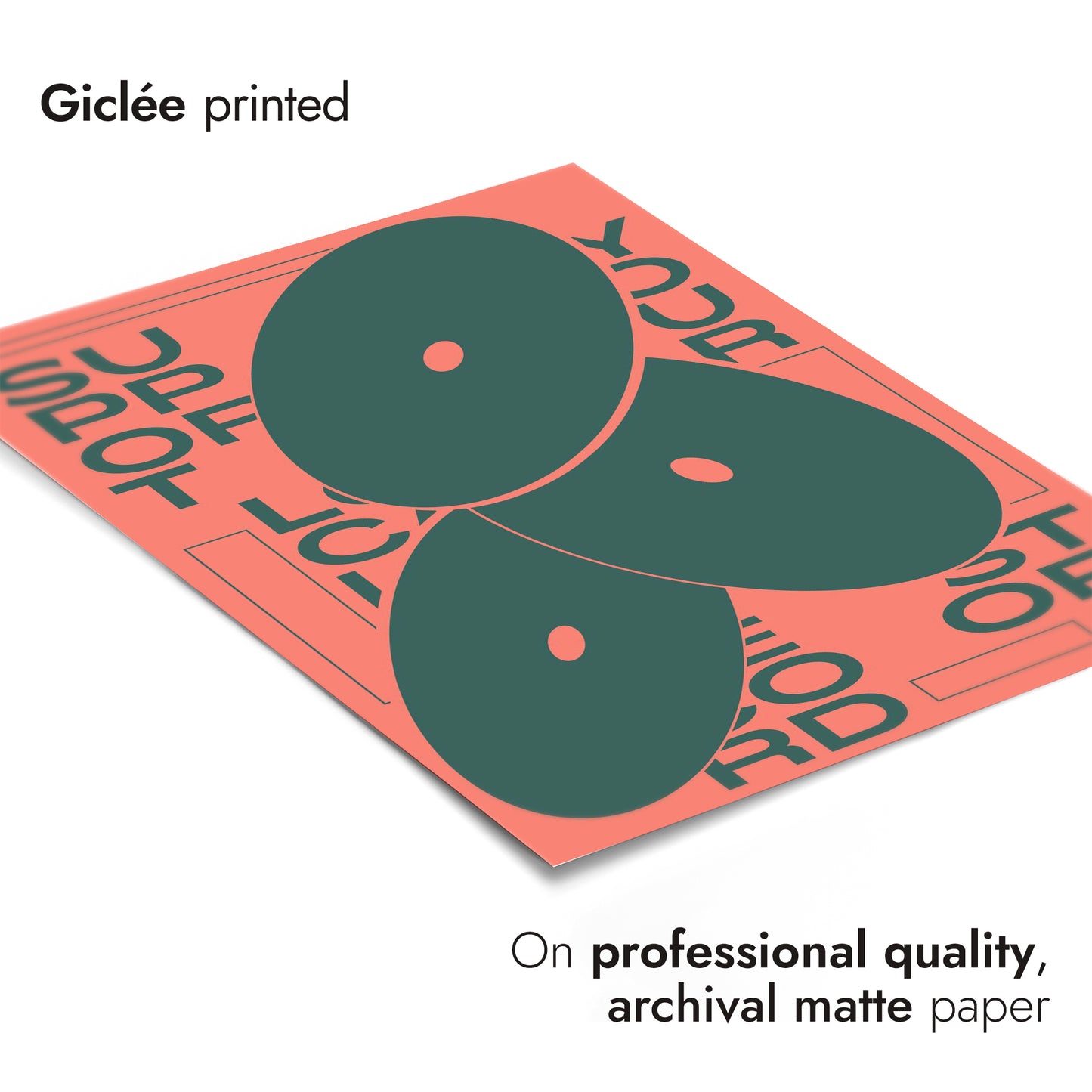 Support Your Local Record Store