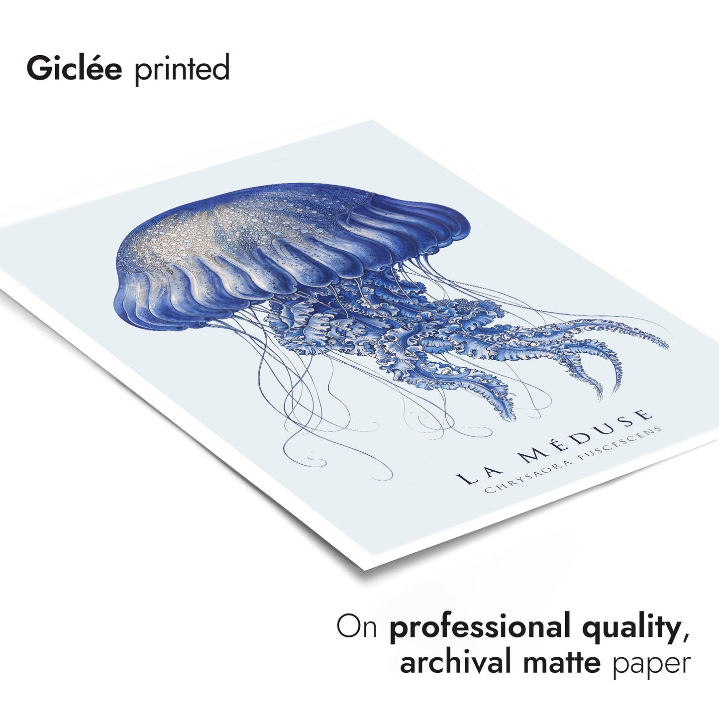 Blaue Meer Lebensausstellung