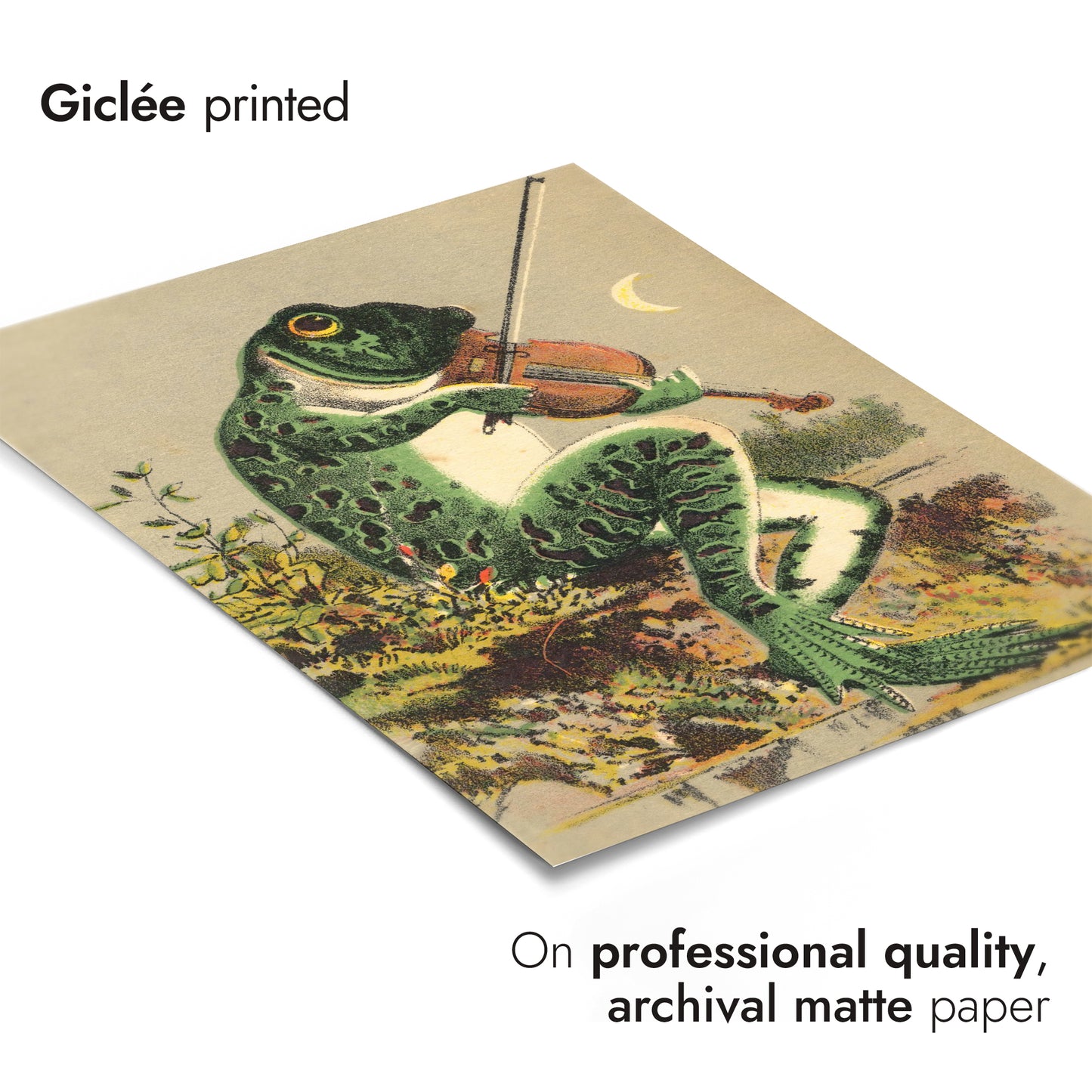 Kikker die viool speelt