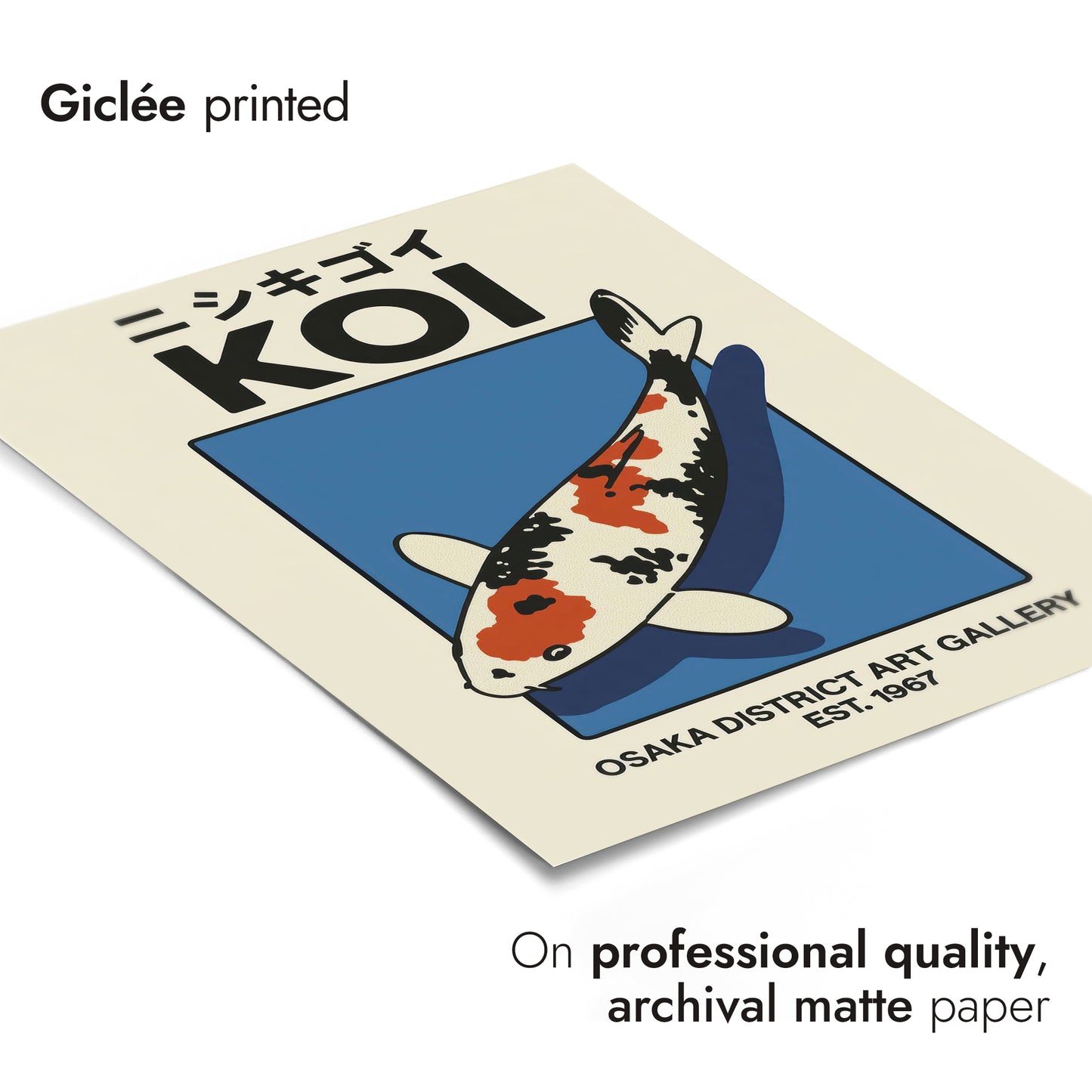 Koi