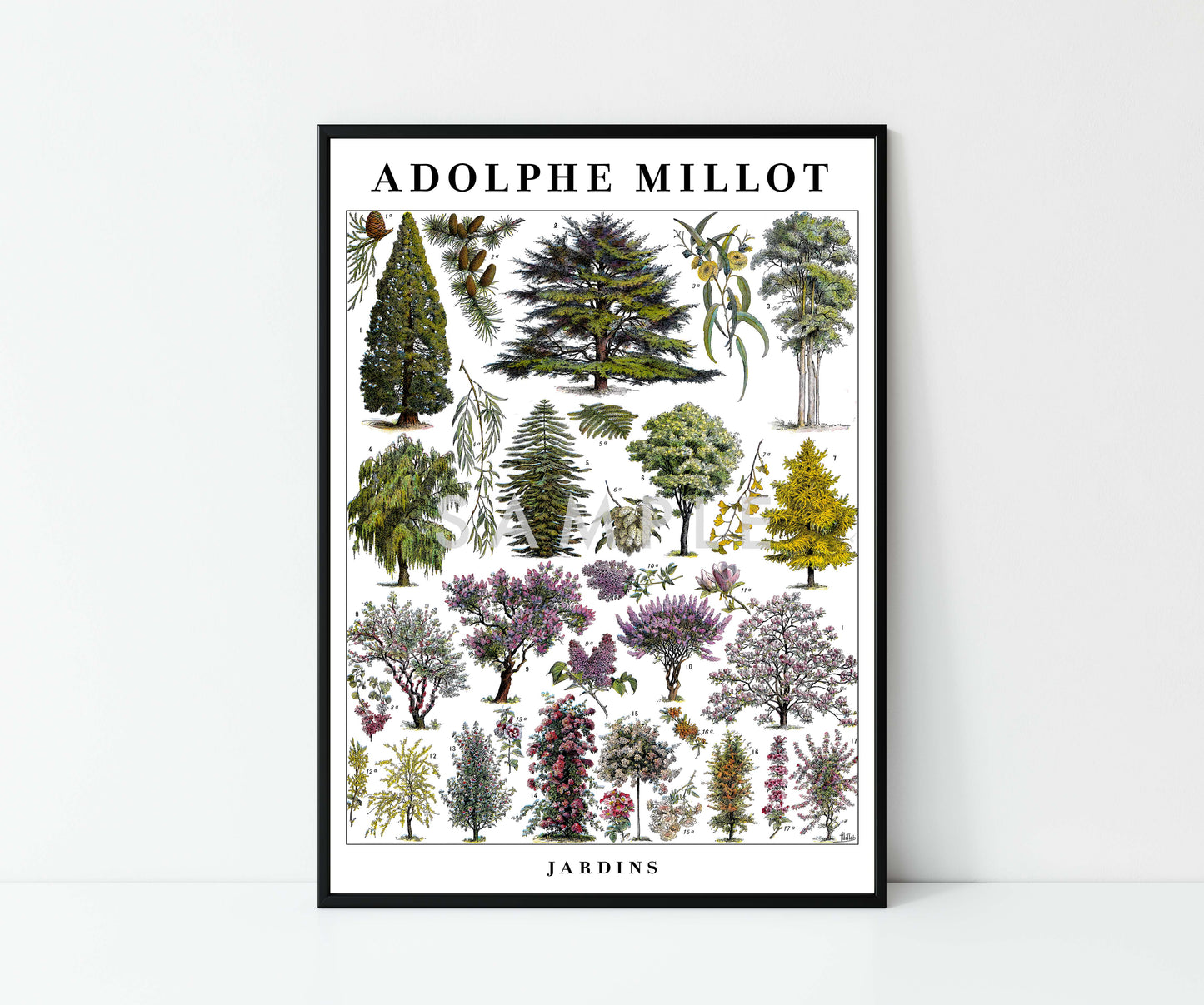 Adolphe Millot Bäume - Set aus 3