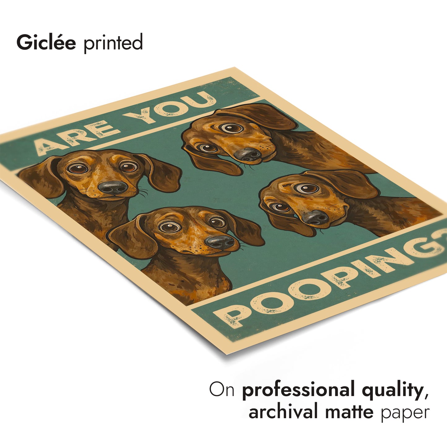 Are You Pooping? Dogs