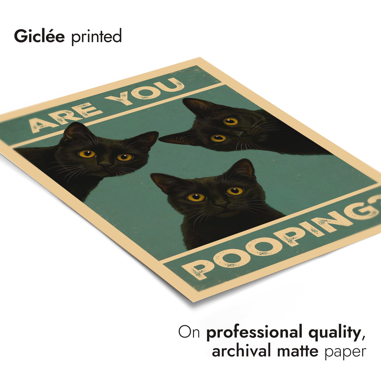 Är du bajsnödig? Katter