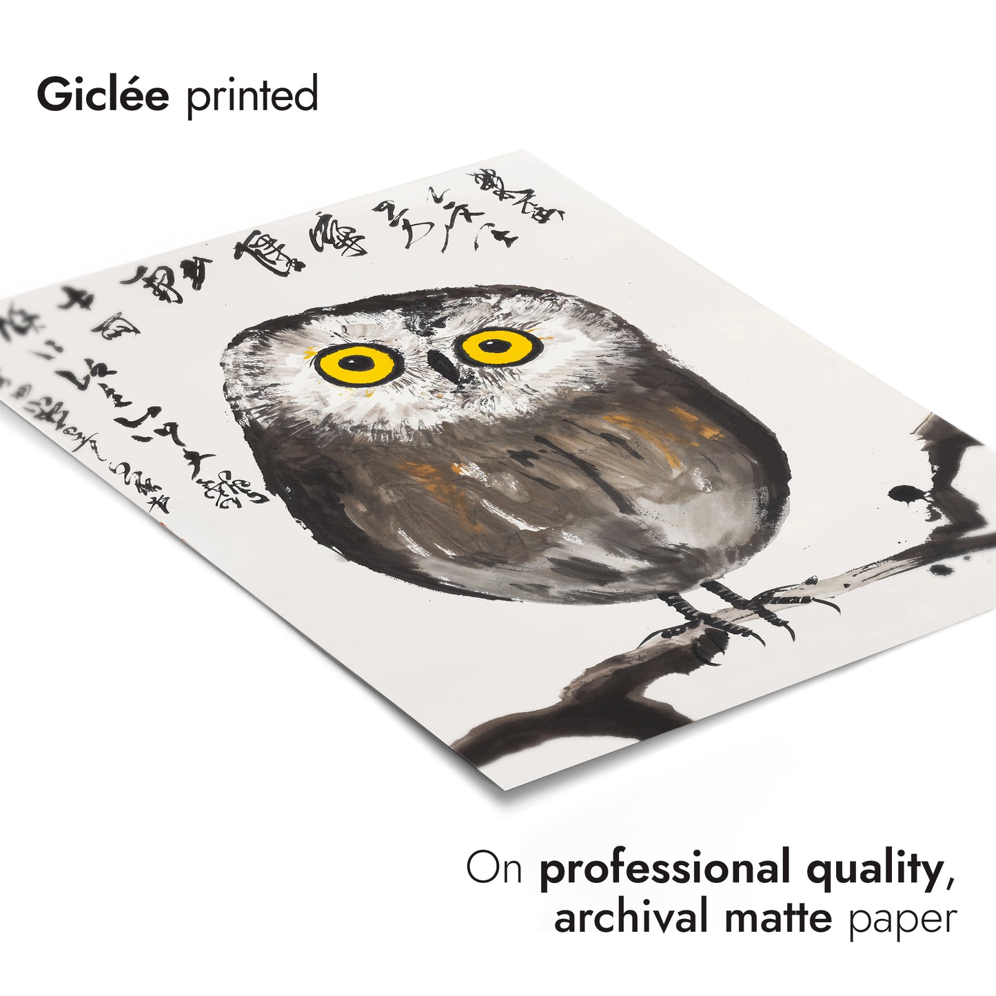 Japanese Wildlife Studies Triple