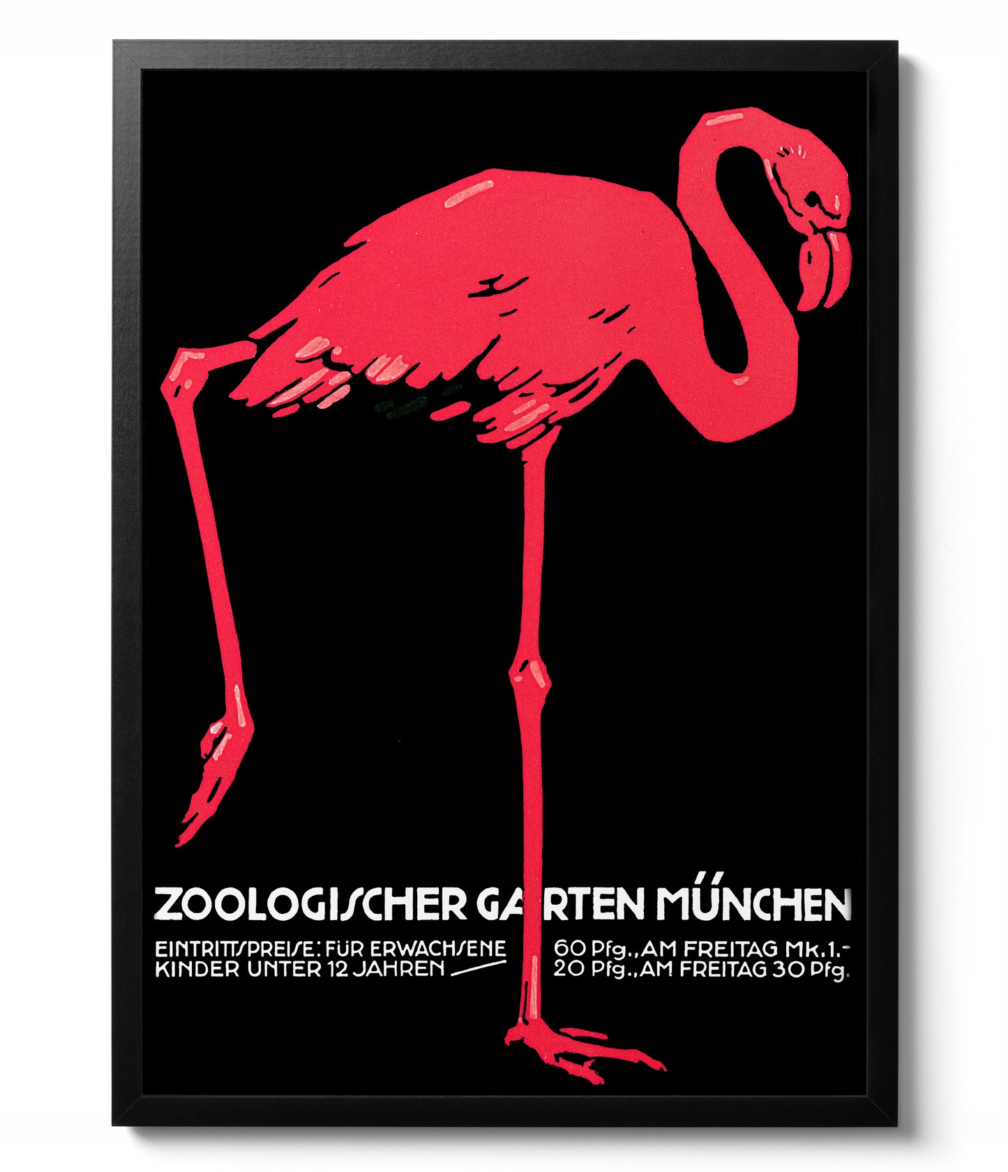 Zoo - Set of 3