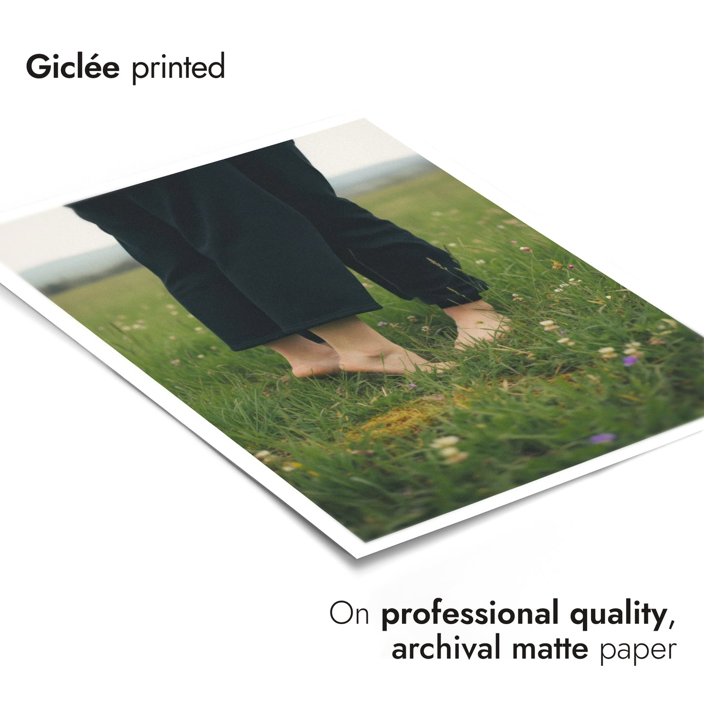 Meet Me in the Fields