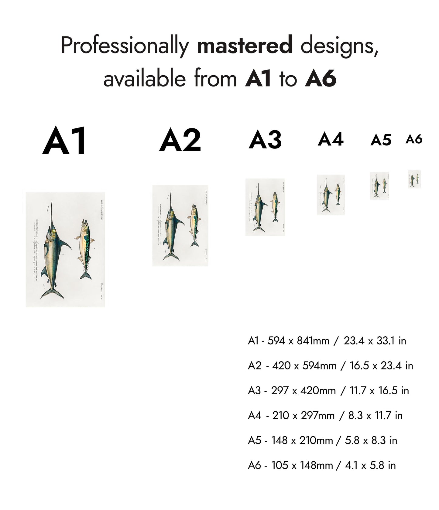 Mackerel & Swordfish