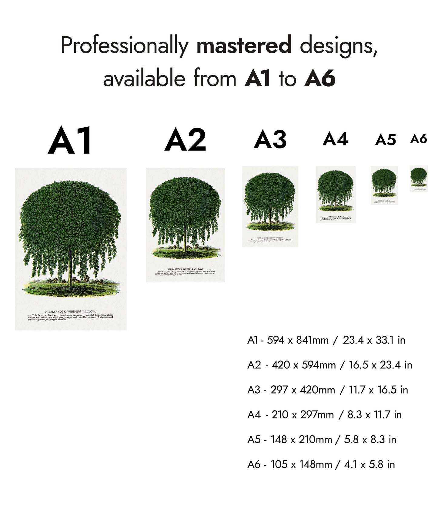 Kilmarnock treurwilg