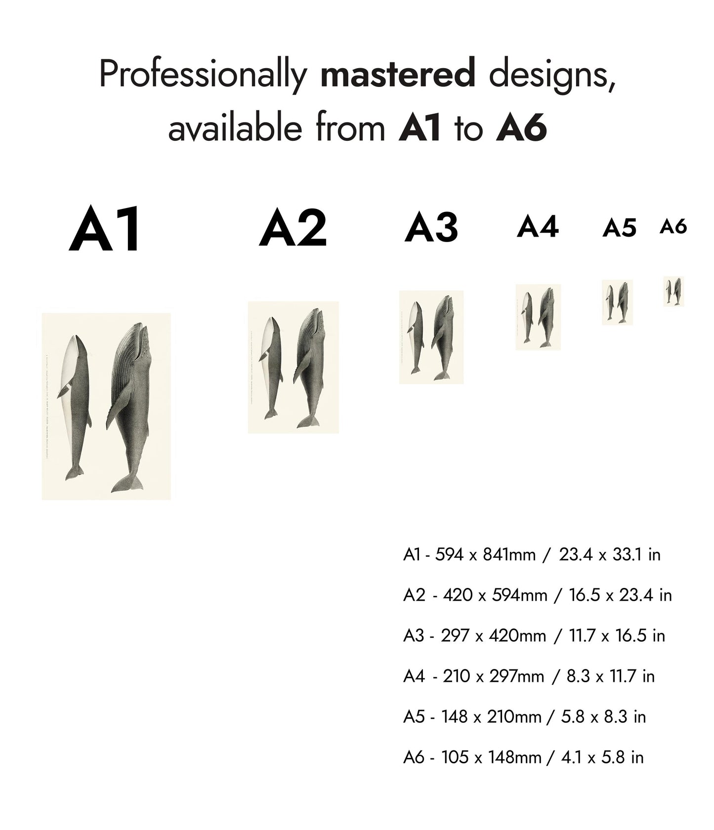 Humpback & Sharp Headed Finner Whales