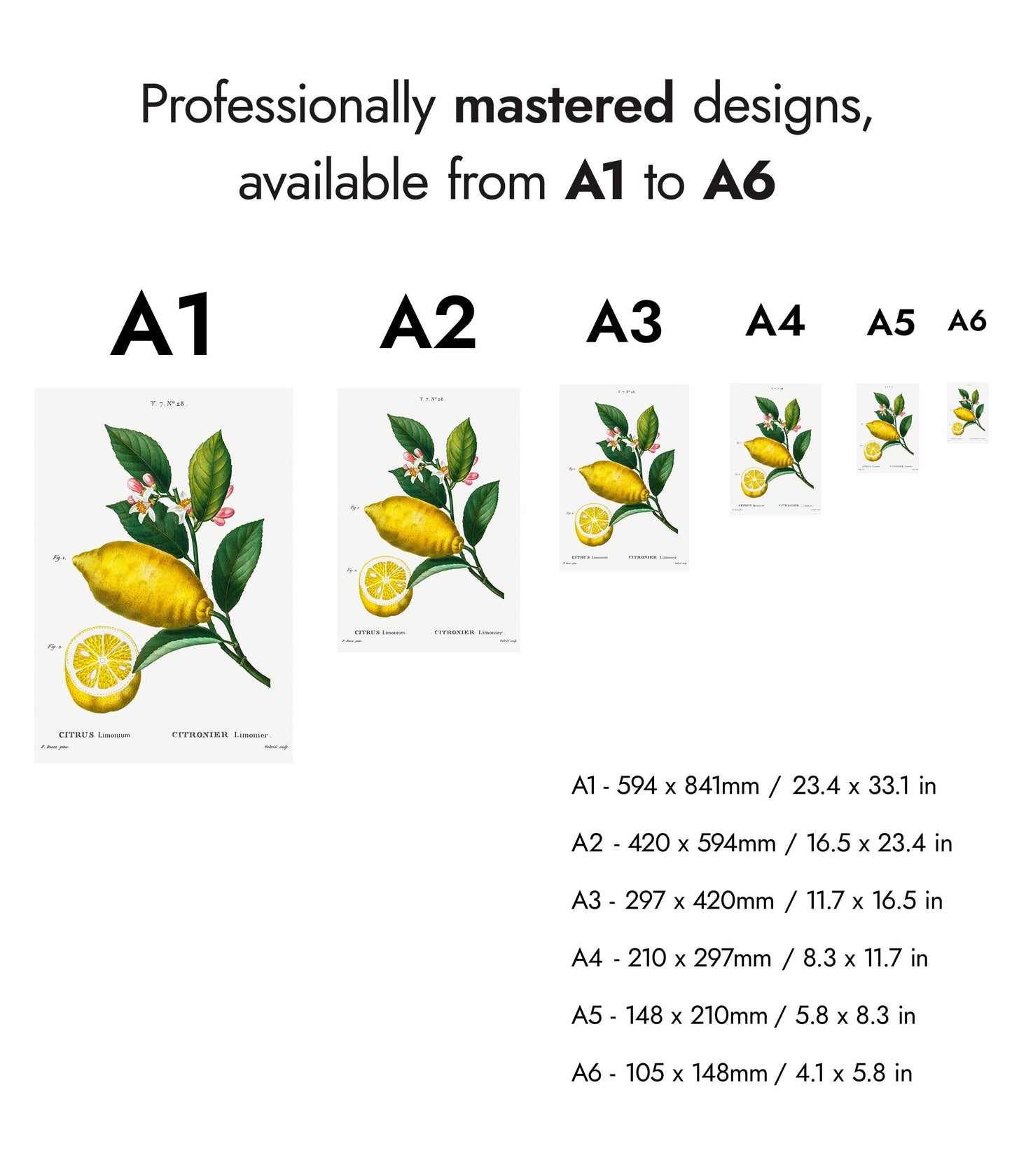 En förstorad citron