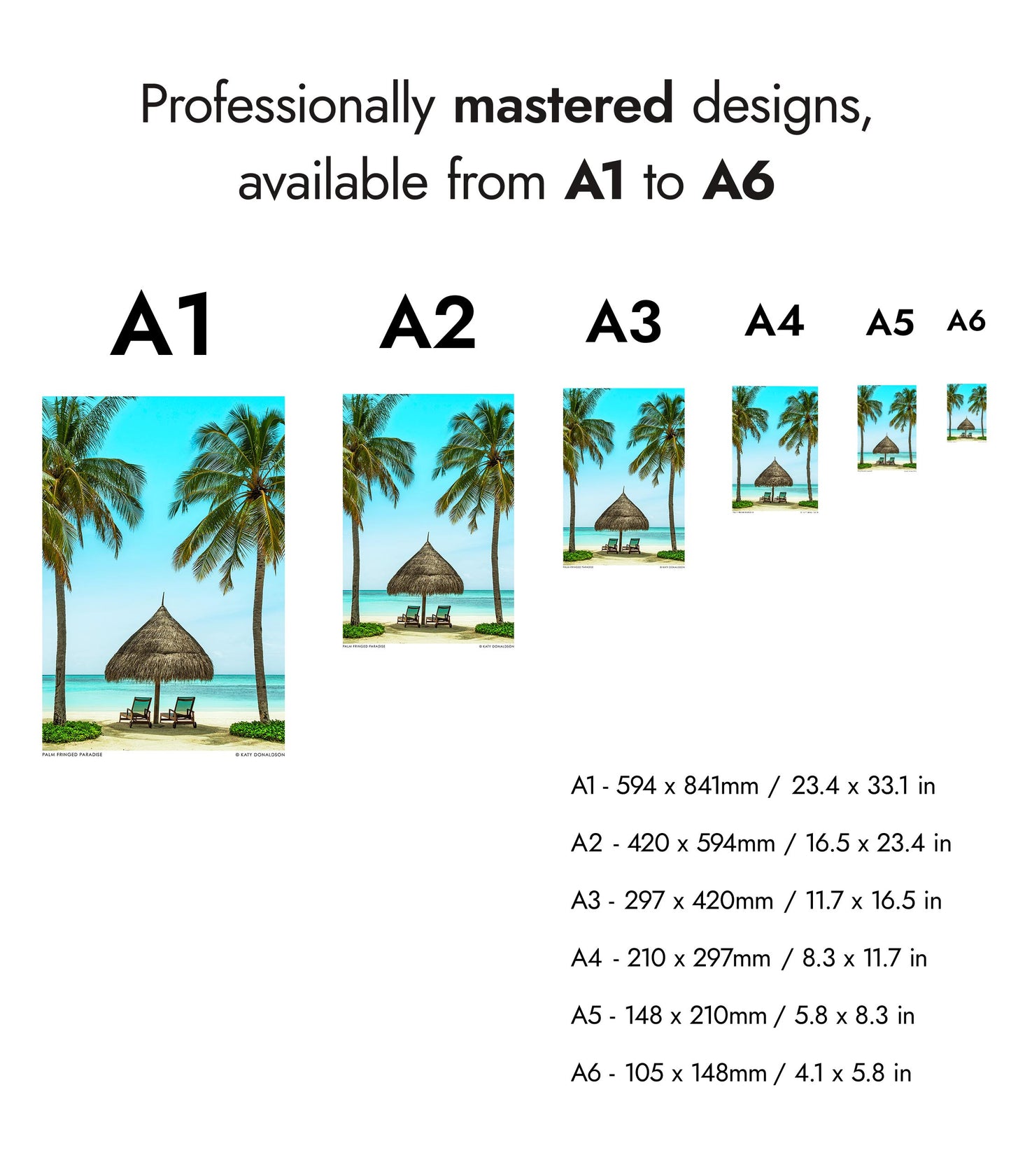 Palm Fringed Paradise