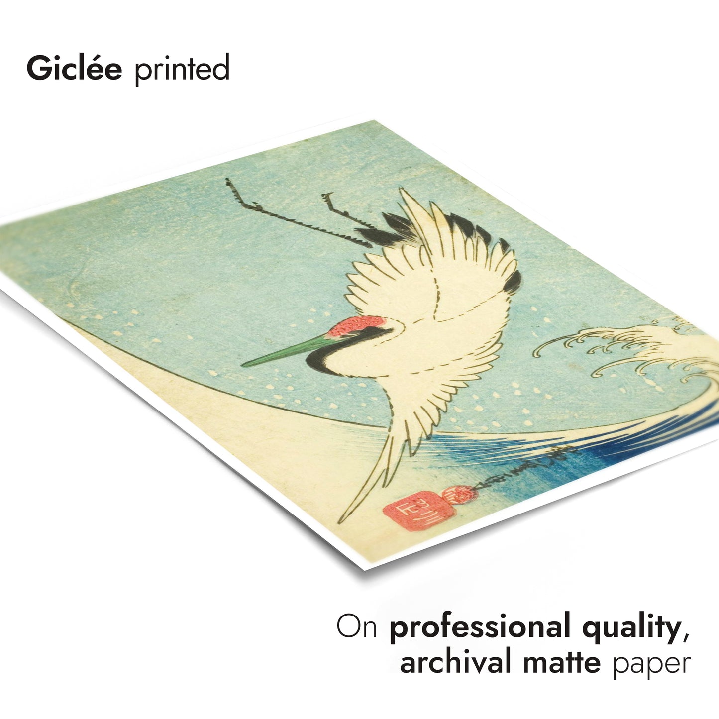 Crane Lying Over Wave