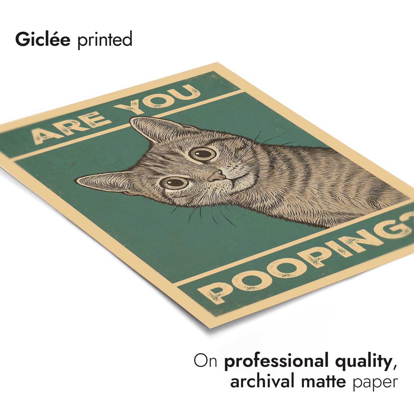 Are You Pooping? Cat