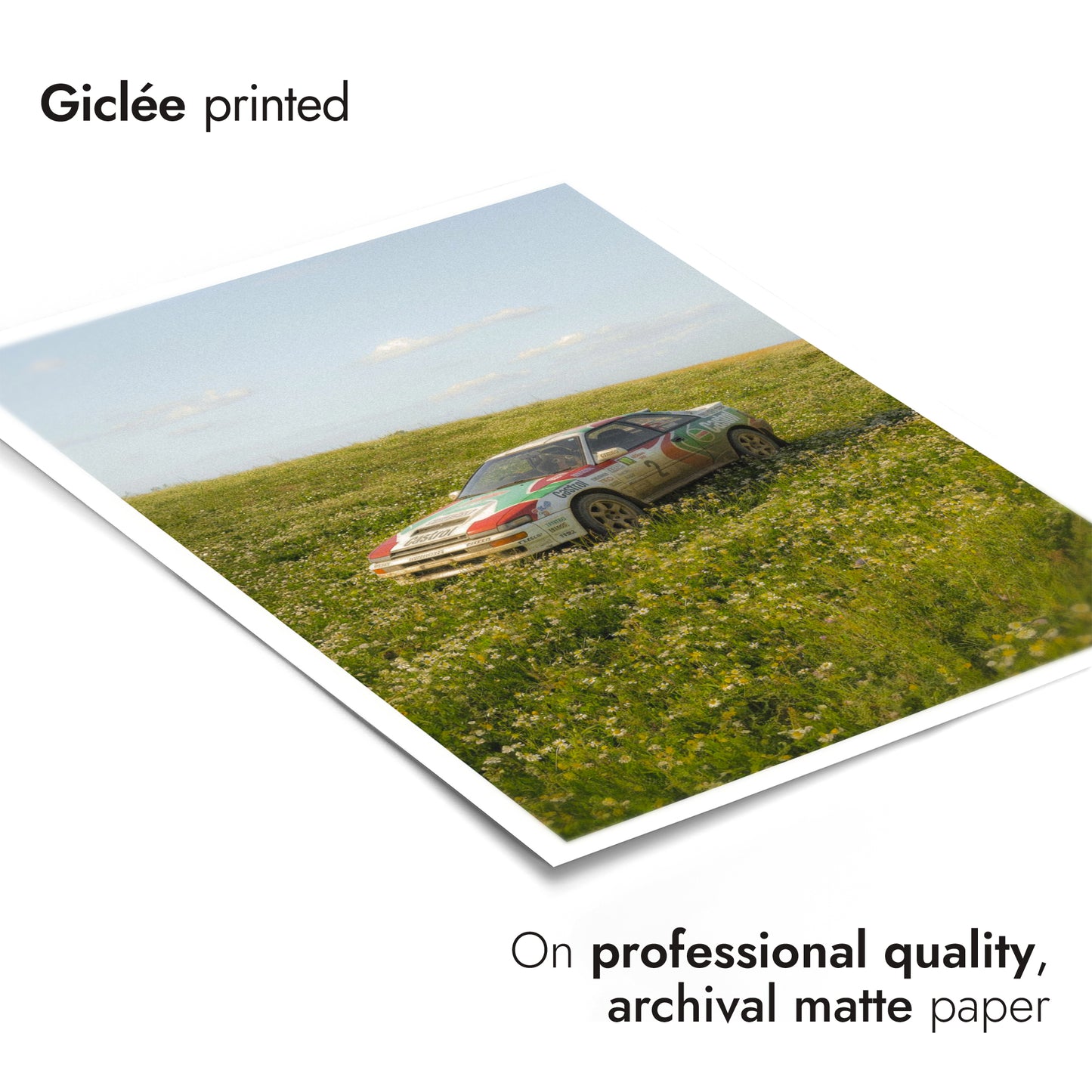 Rally Meadow, Afternoon