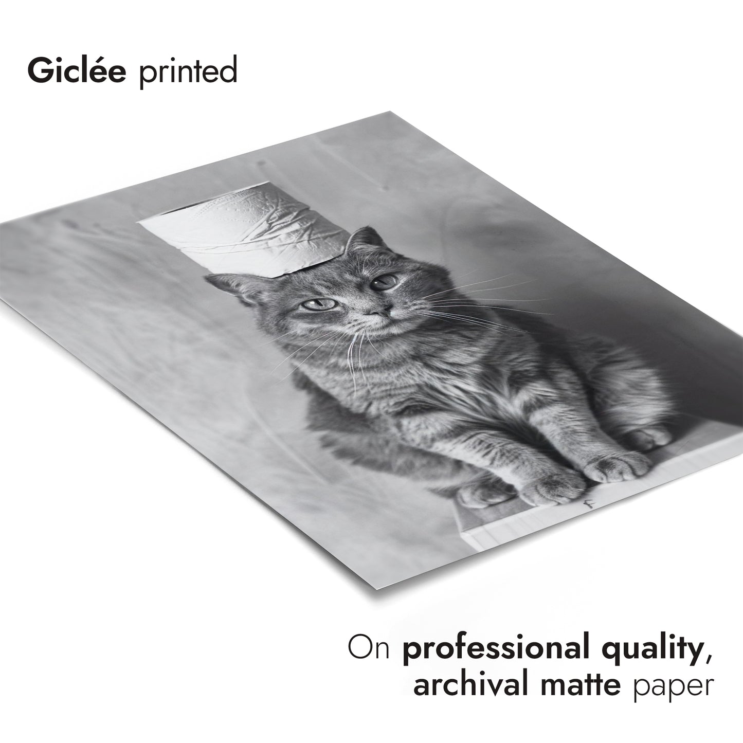 Pawsitive Roll Model