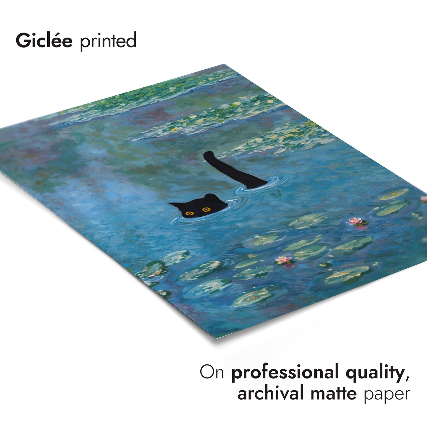 Svart katt bland näckrosor