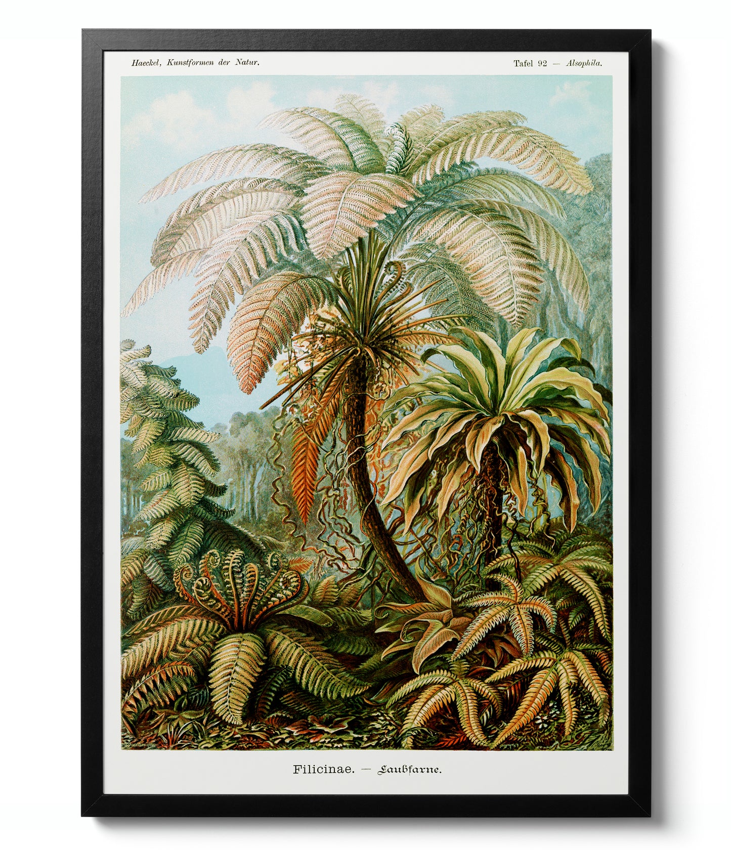 Botaniska träd - Set om 3