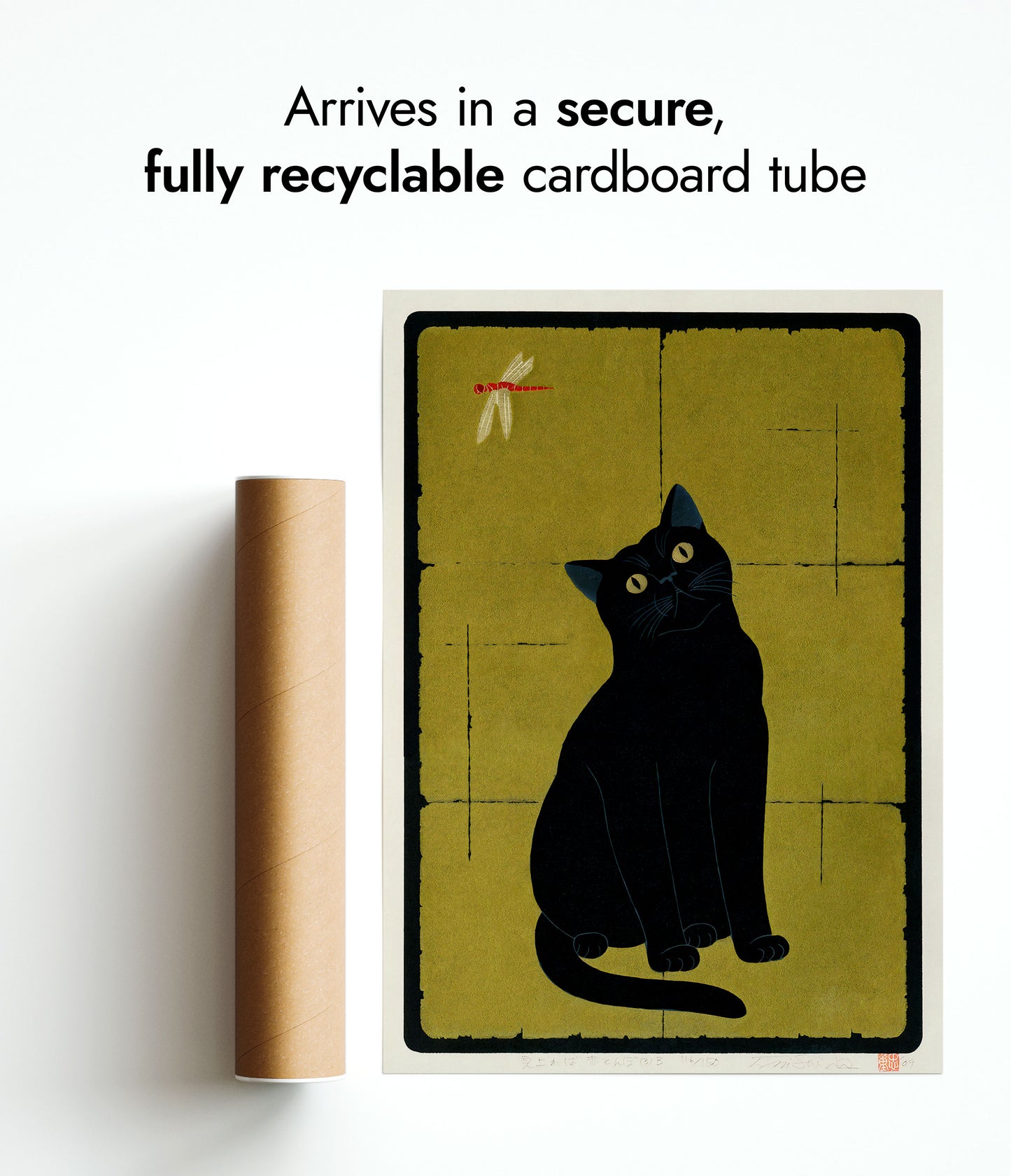 Svart katt med trollslända