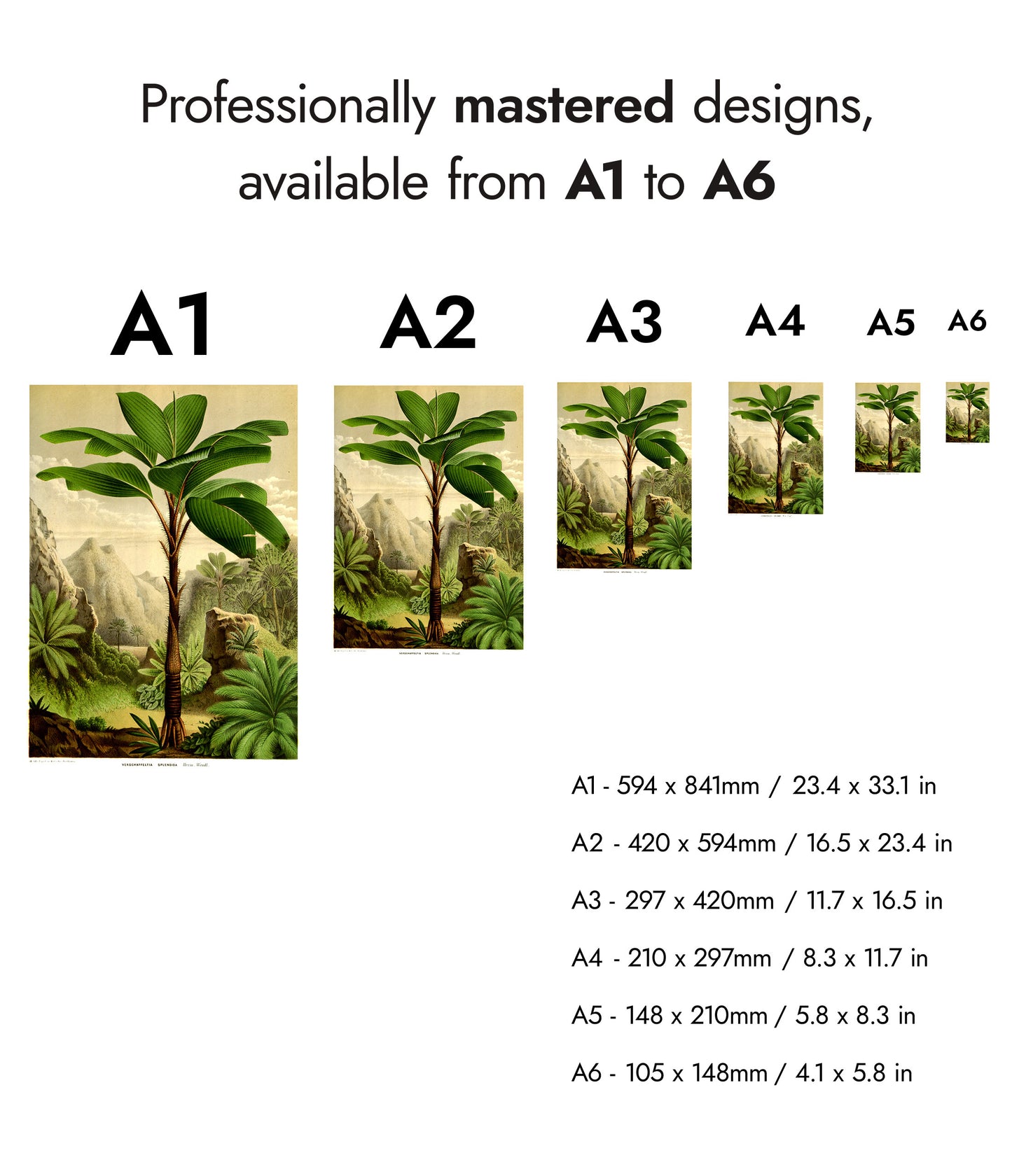 Botaniska träd - Set om 3