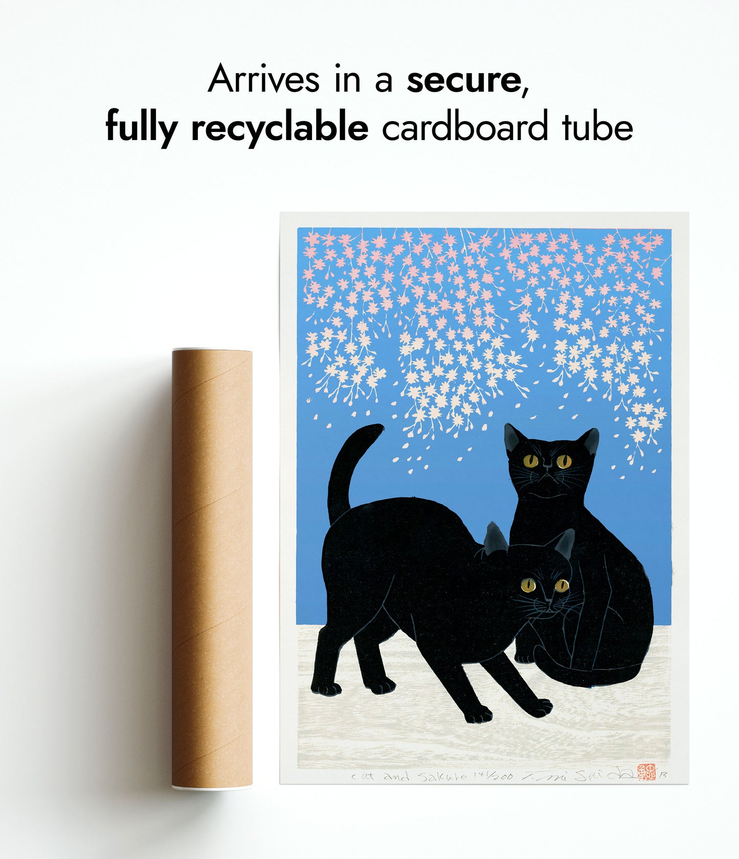 Katter & Körsbärsblommor