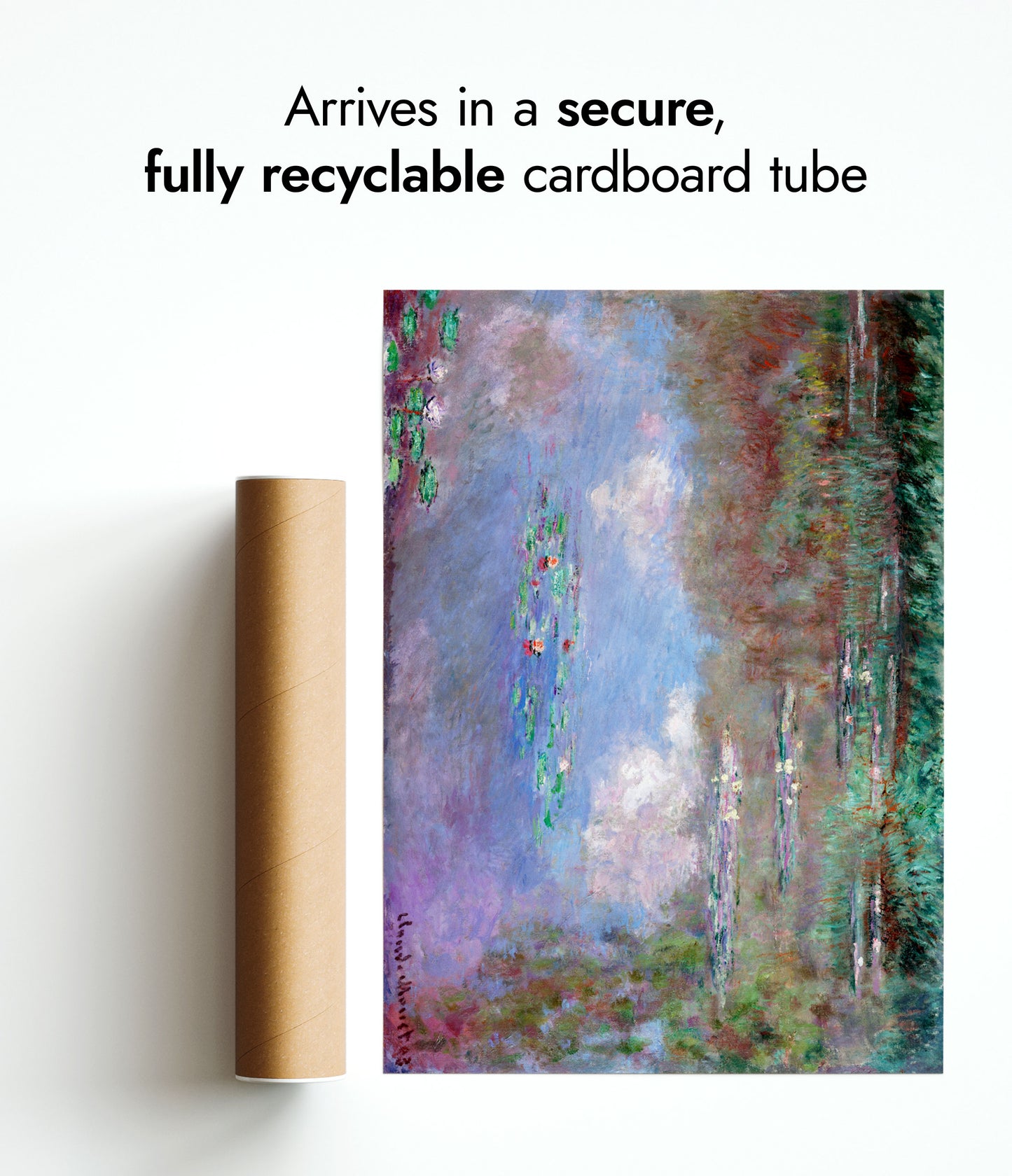 Nuages dans l'étang aux lys