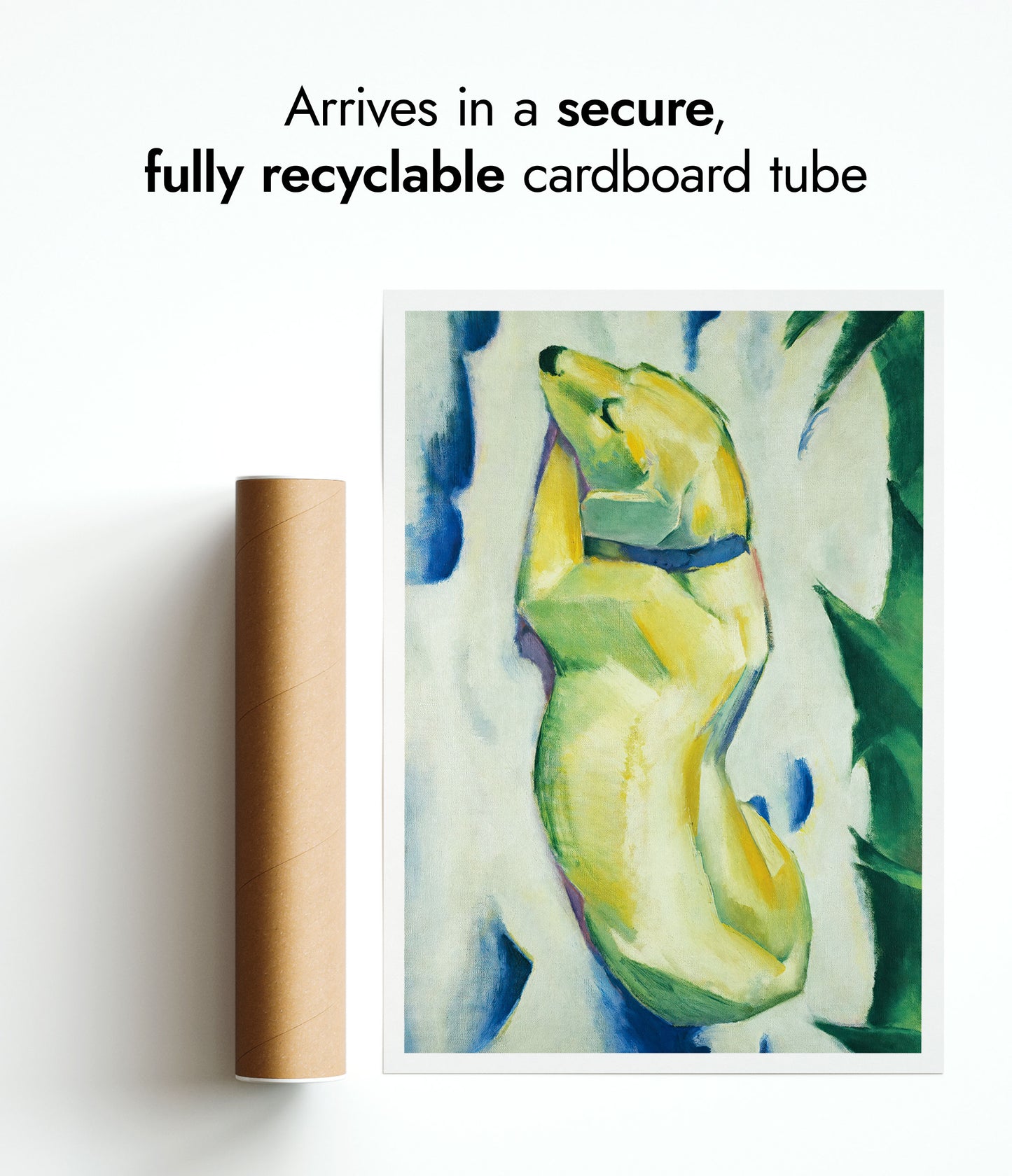 Dog Lying in the Snow