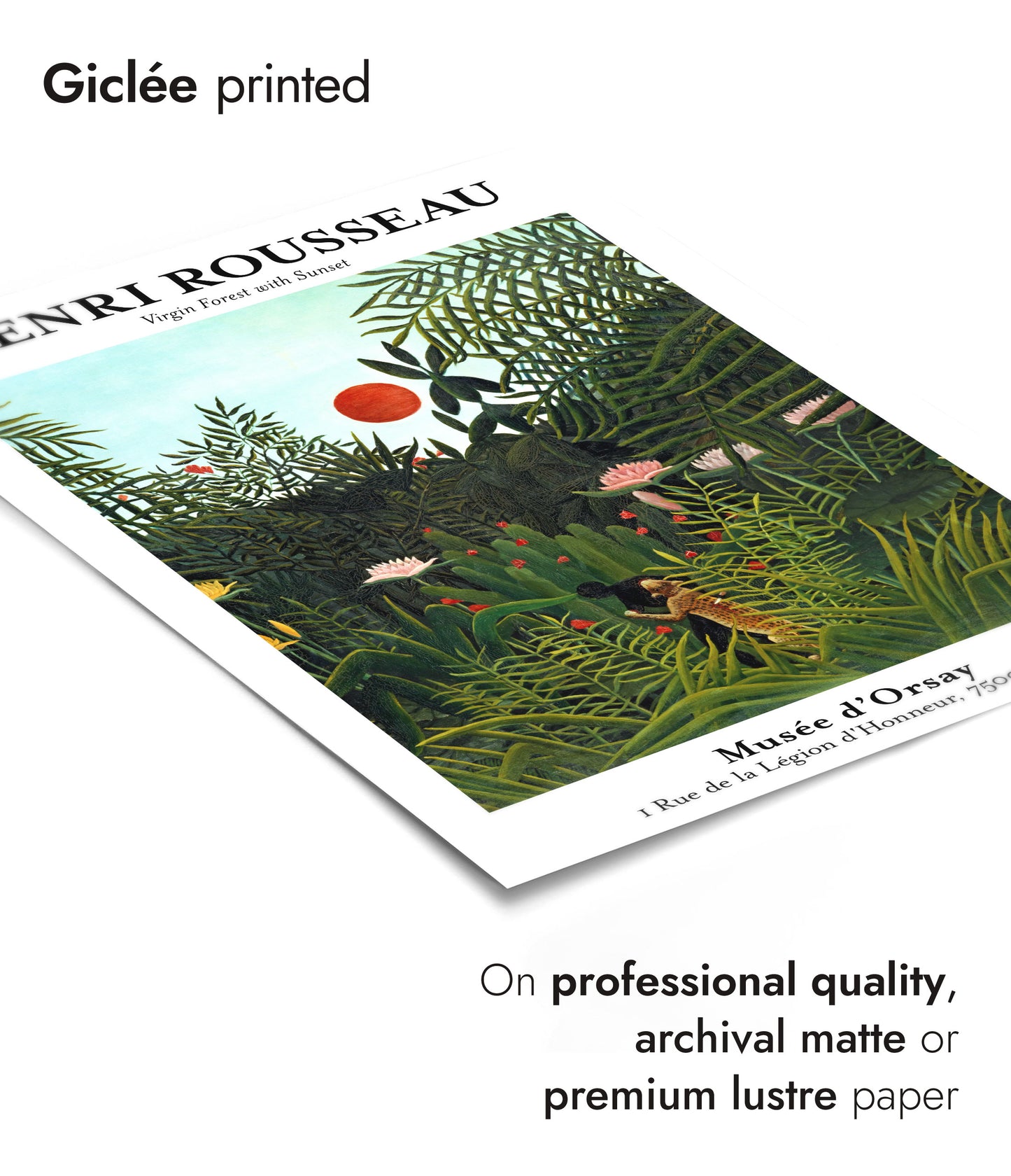 Henri Rousseau - Set of 3