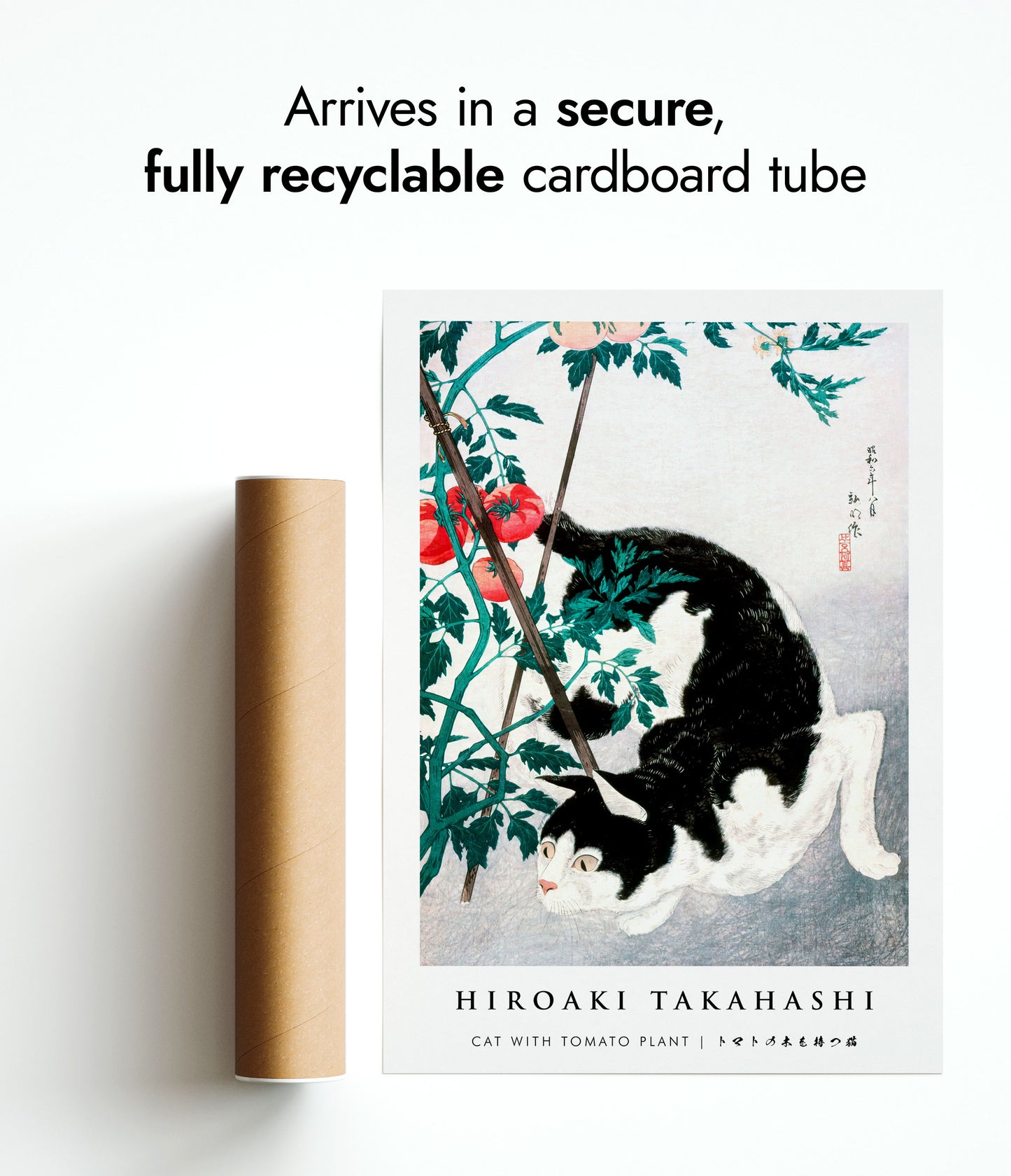 Katt med tomatplanta