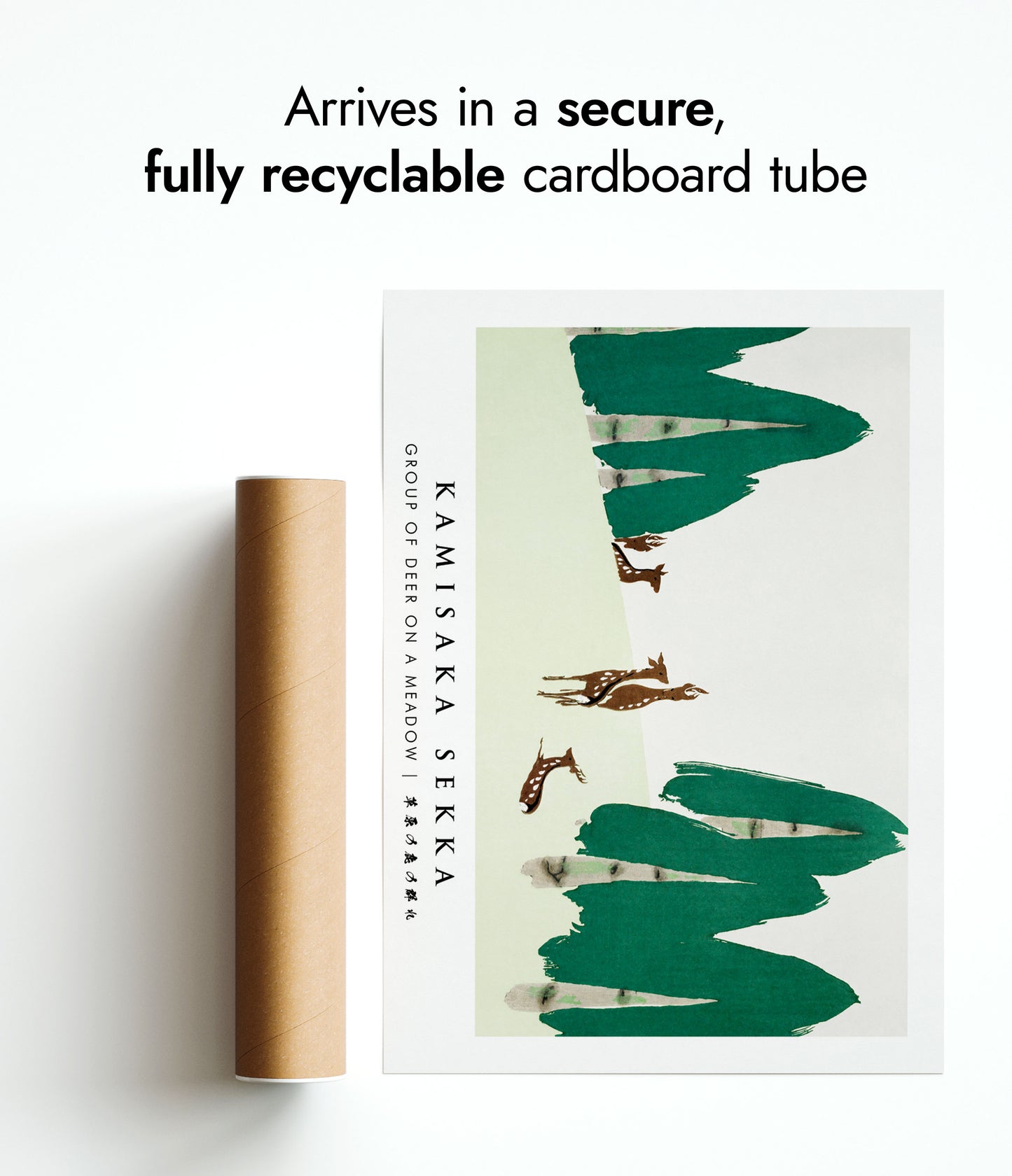 Group of Deer on a Meadow