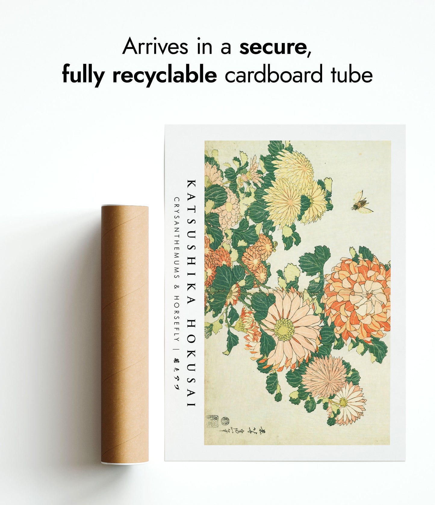 Chrysanthèmes & Mouche à cheval