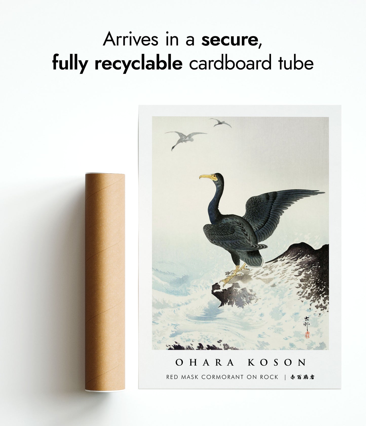 Red Mask Cormorant on Rock