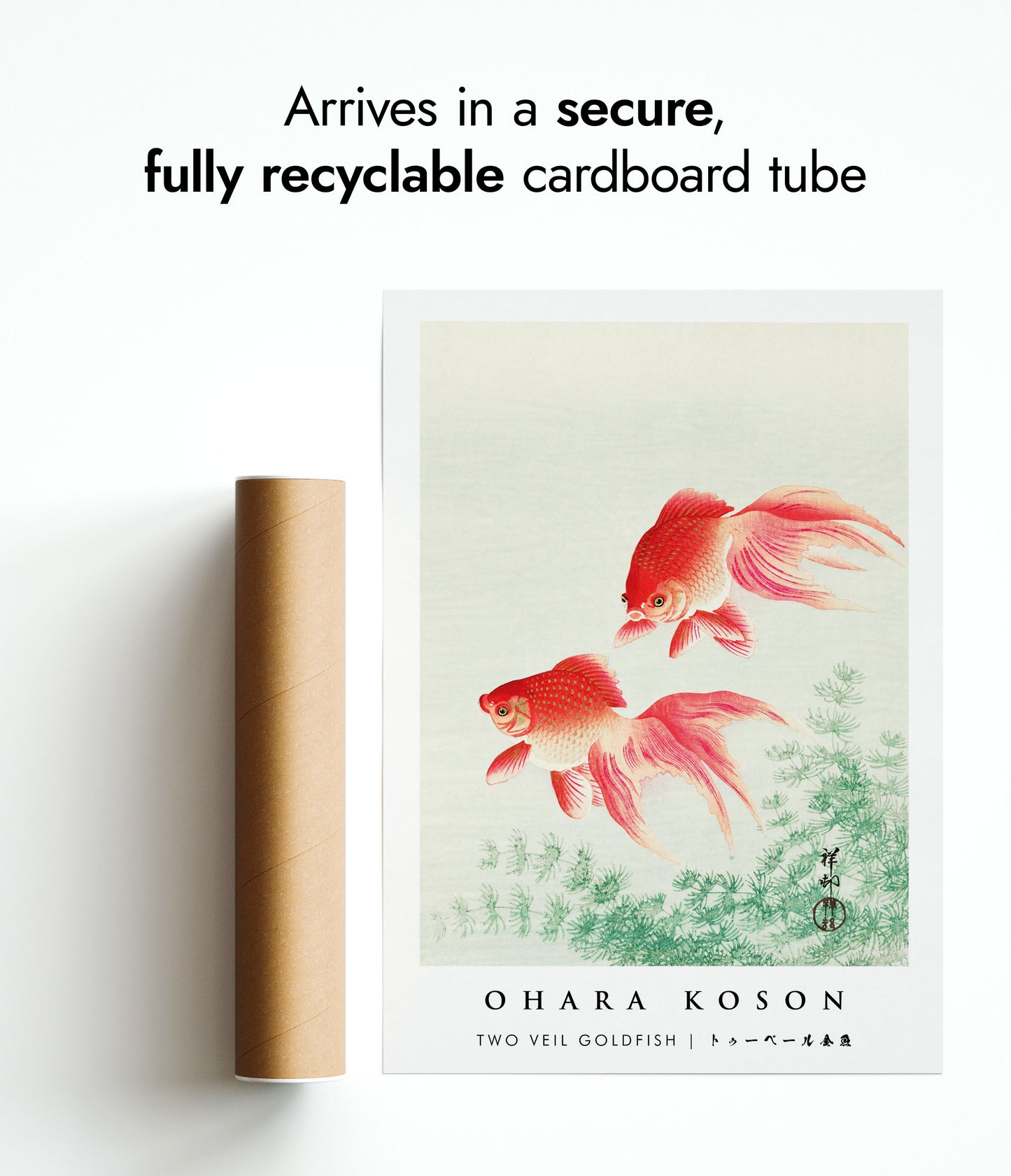 Deux poissons rouges voilés