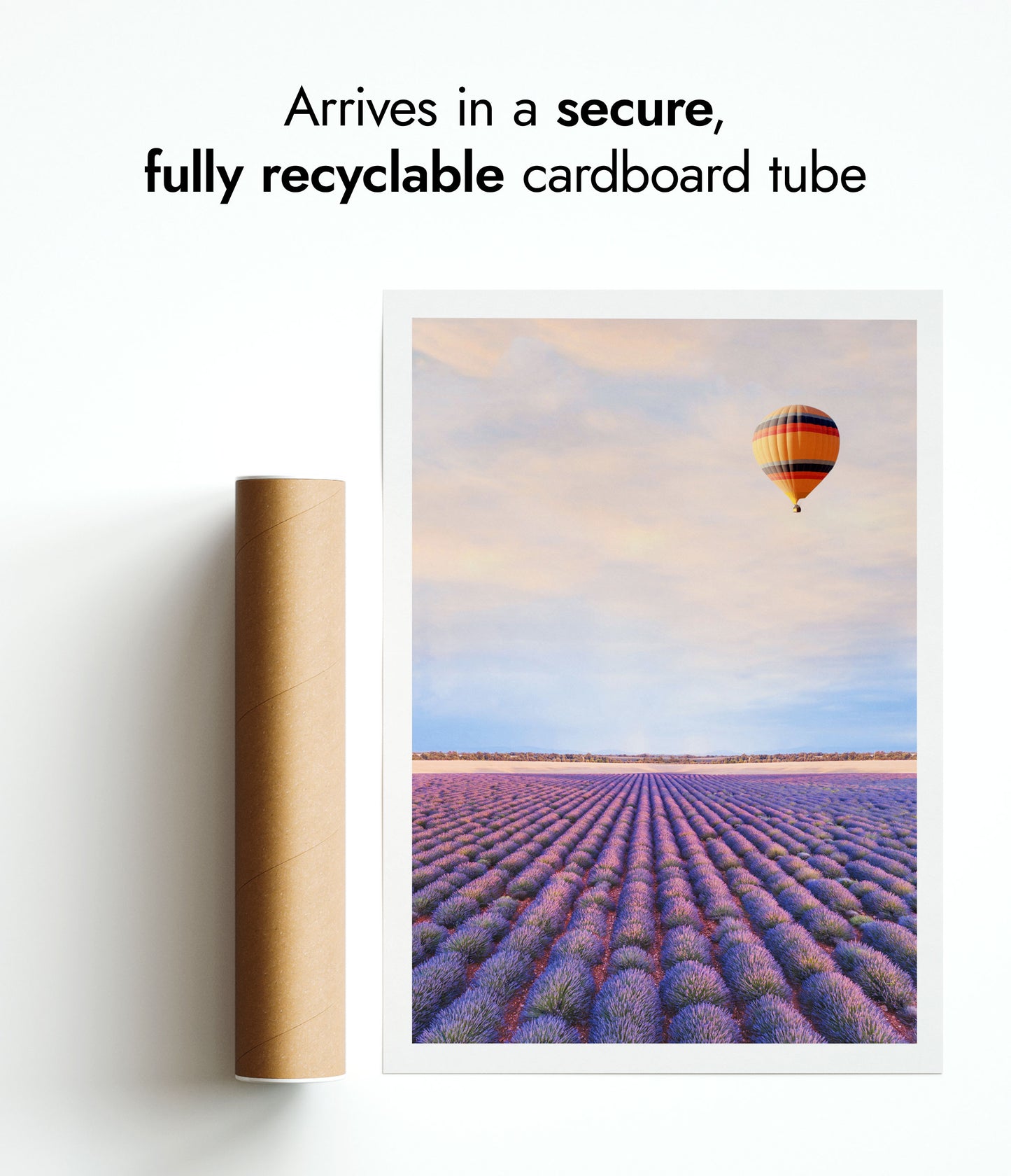 Lavendelfelder in der Provence, Frankreich