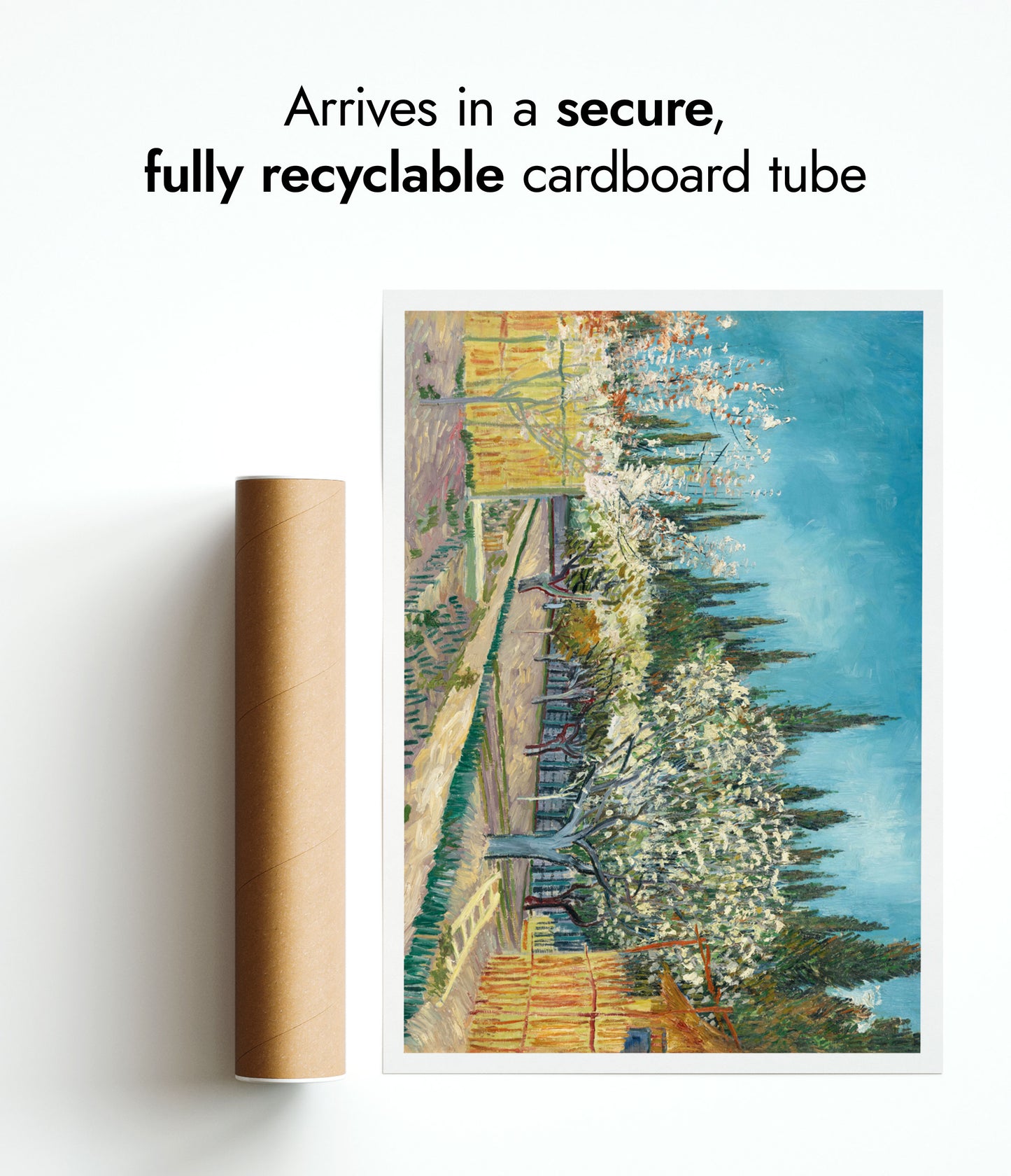 Orchard Bordered by Cypresses