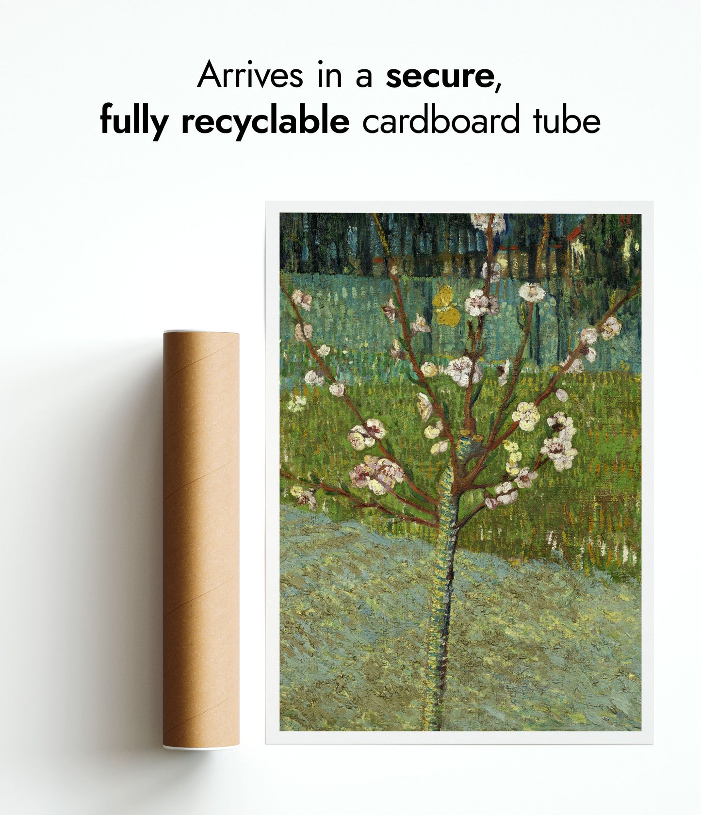 Peach Tree in Blossom