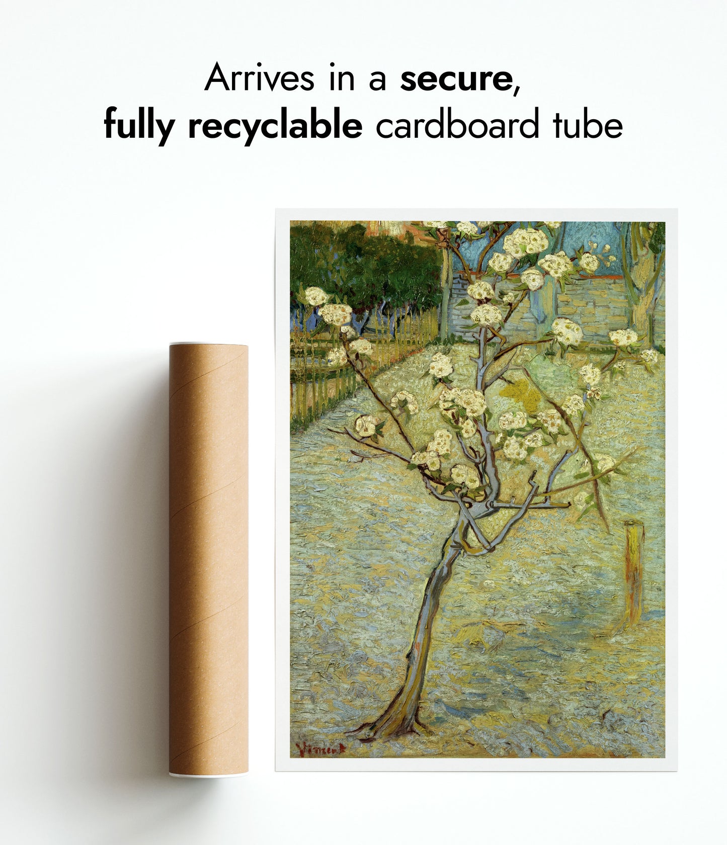 Small Pear Tree in Blossom