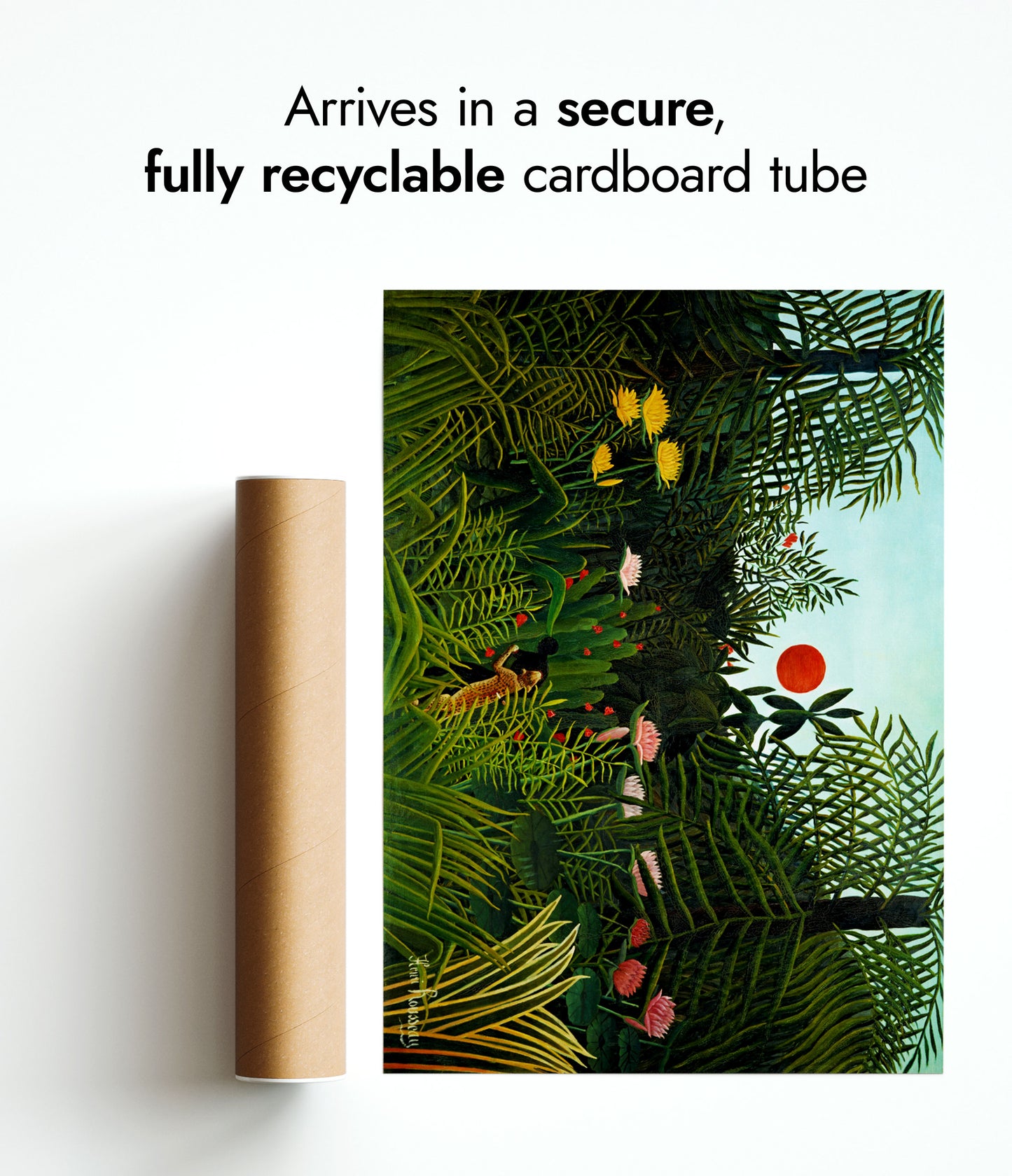 Jungfrulig skog med solnedgång