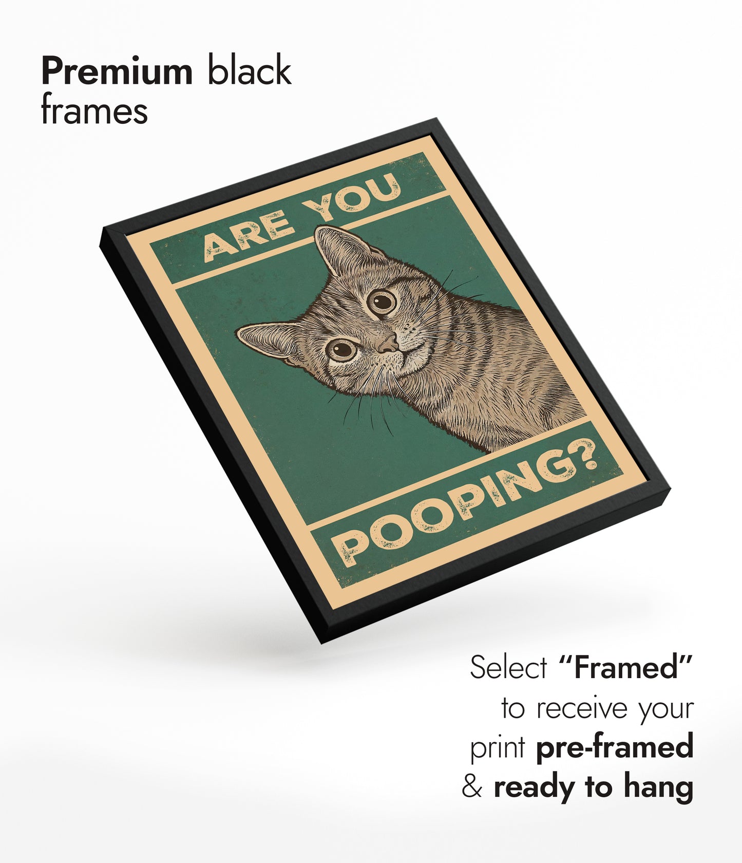 Are You Pooping? Cat