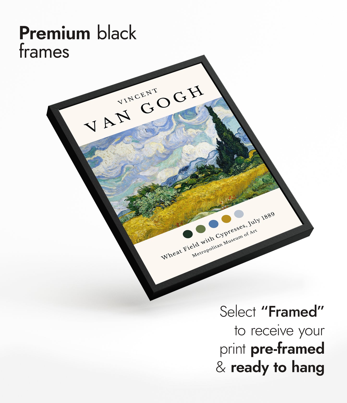 Wheat Field With Cypresses