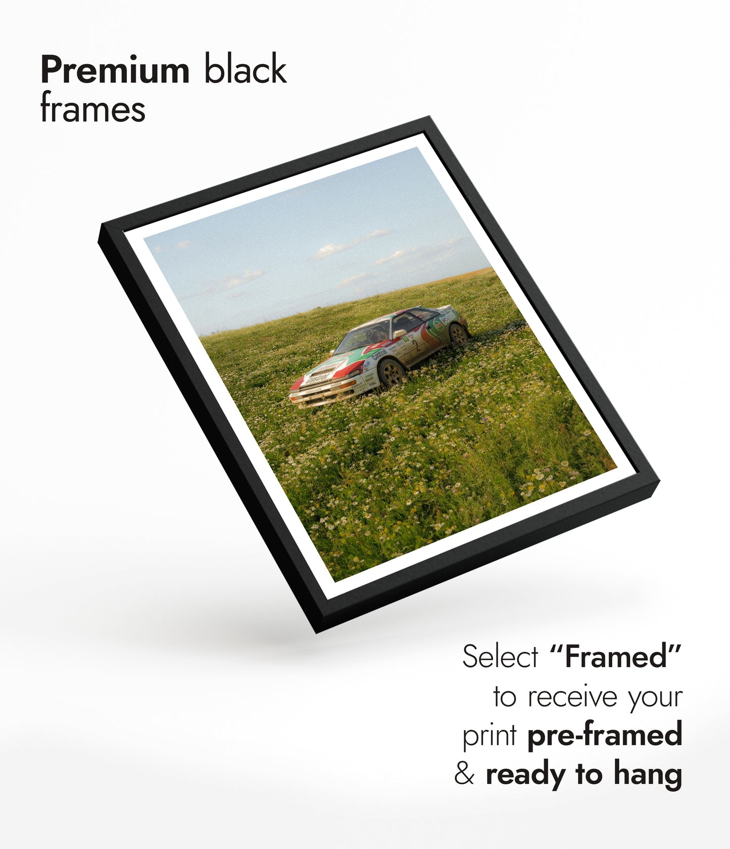 Rally Meadow, Afternoon