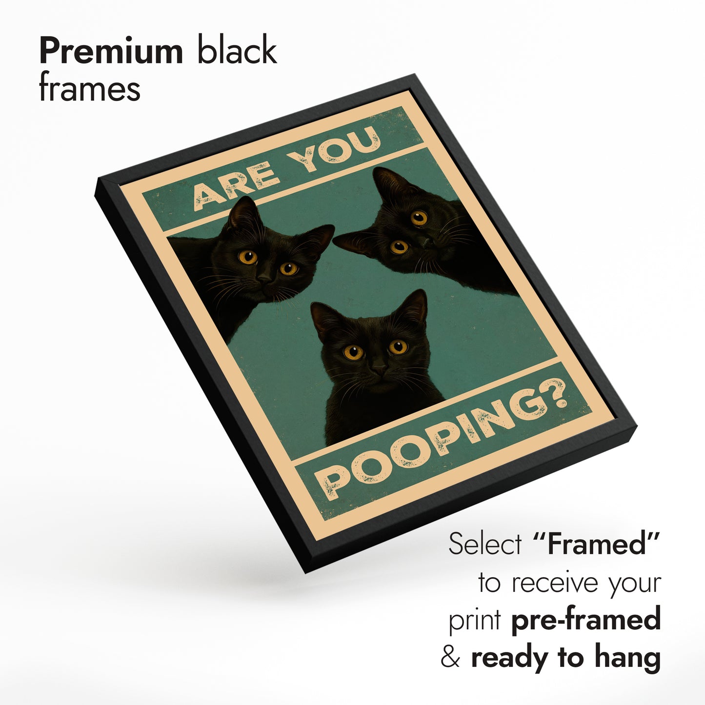 Bäst av badrumskatter