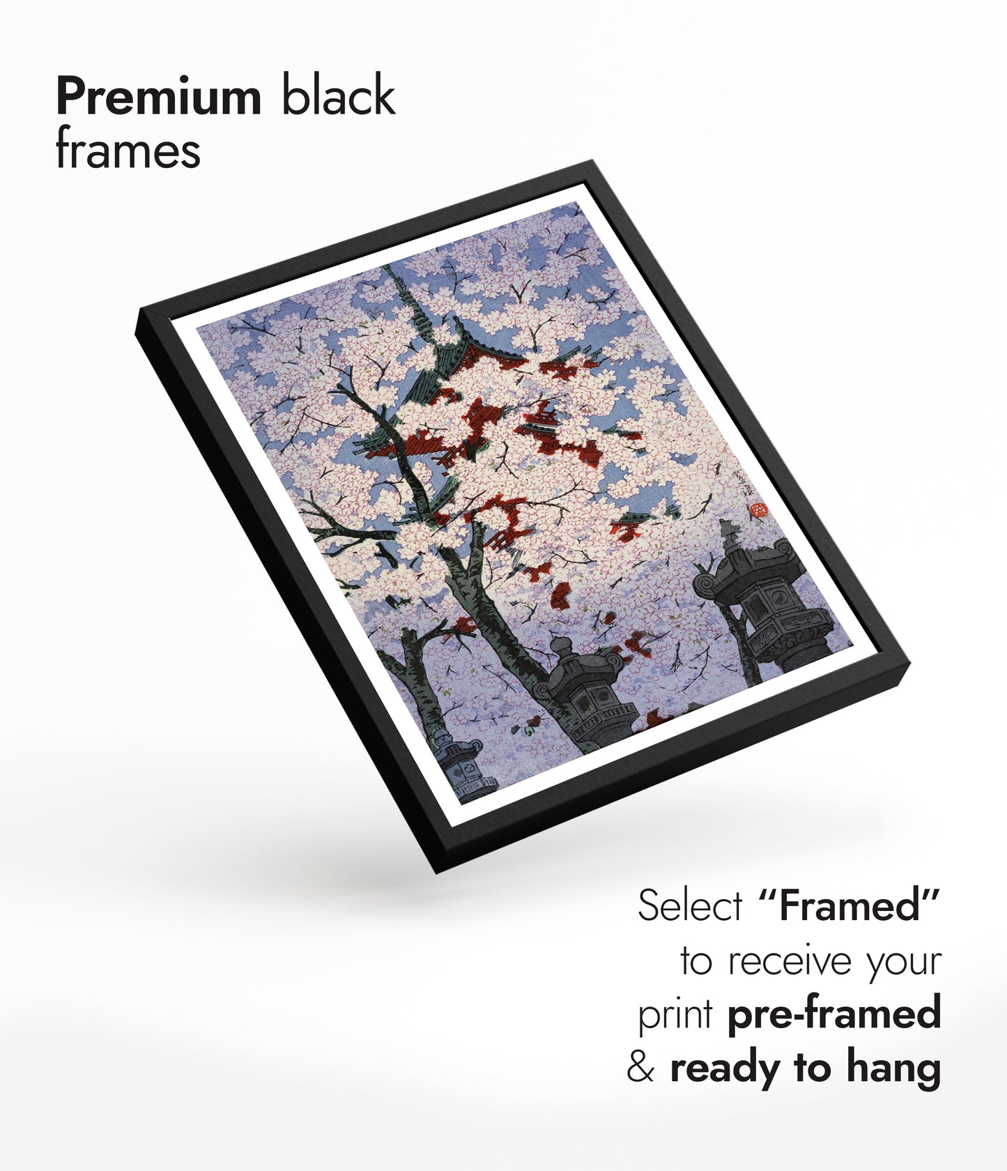 Körsbärsblommor i Ueno Toshogo