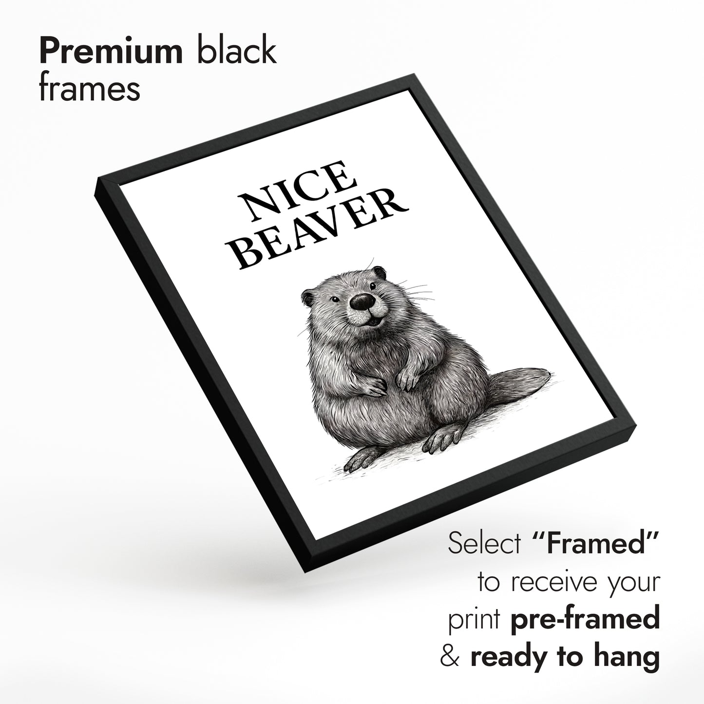 Collection d'animaux drôles