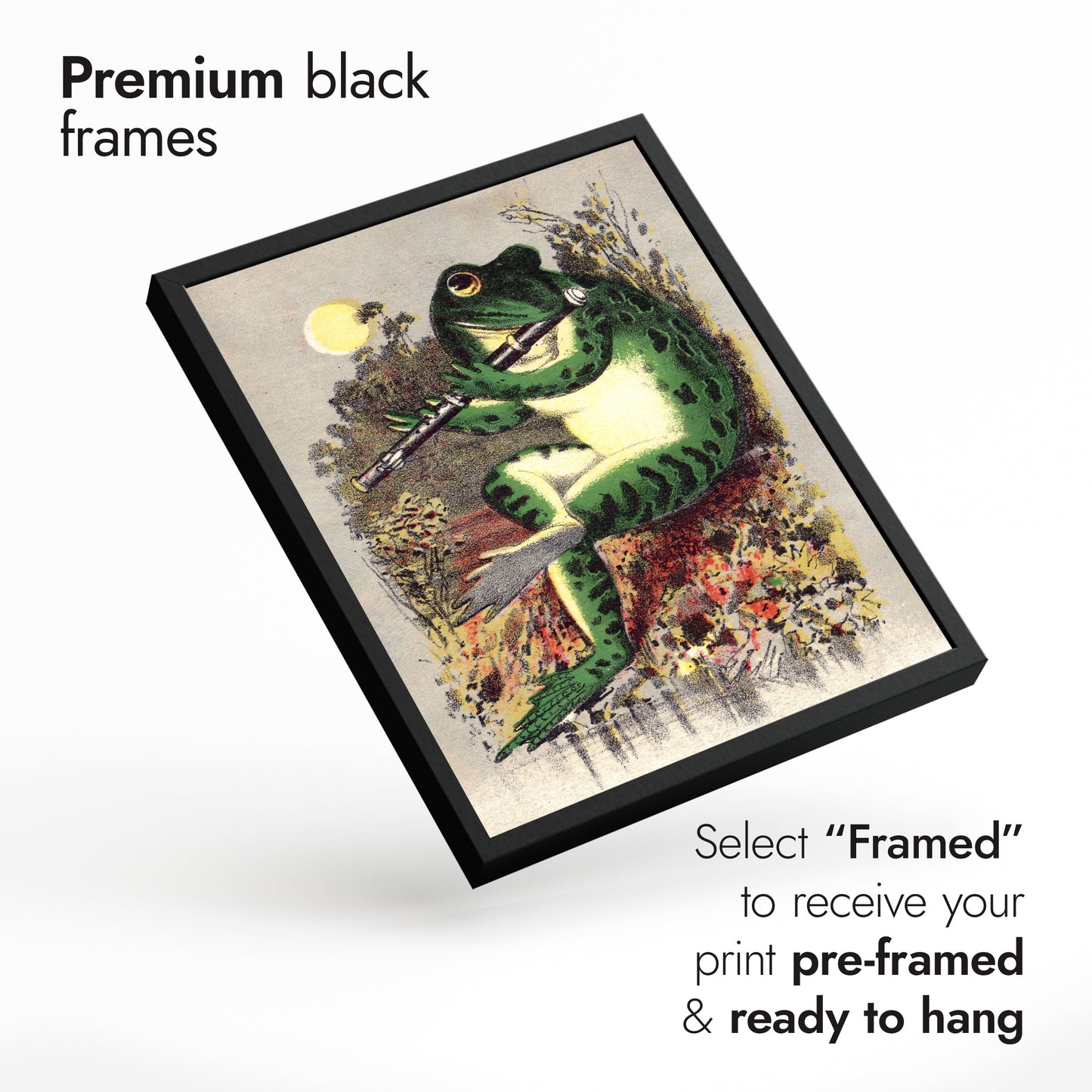 Kikkers in het moeras