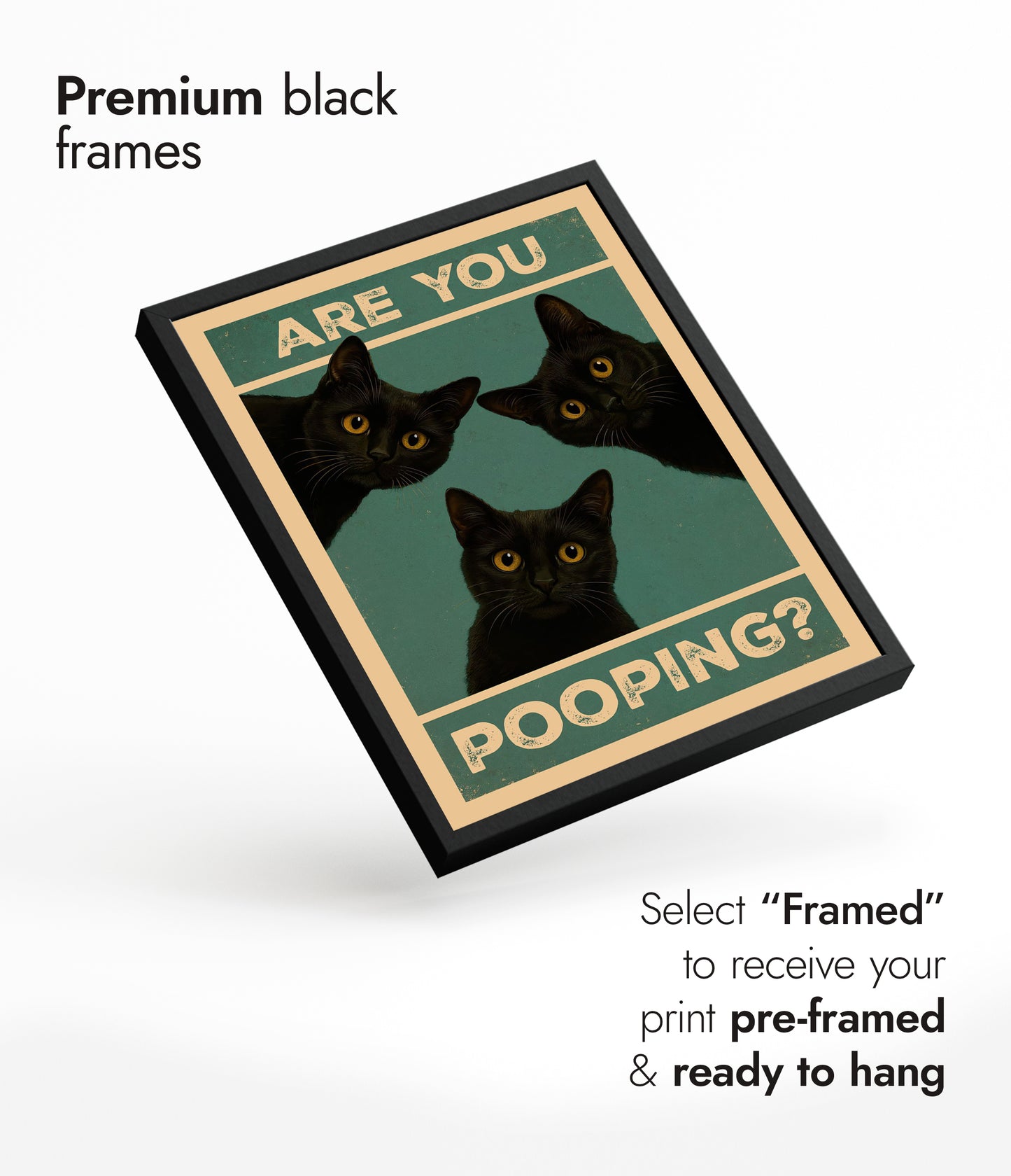 Är du bajsnödig? Katter