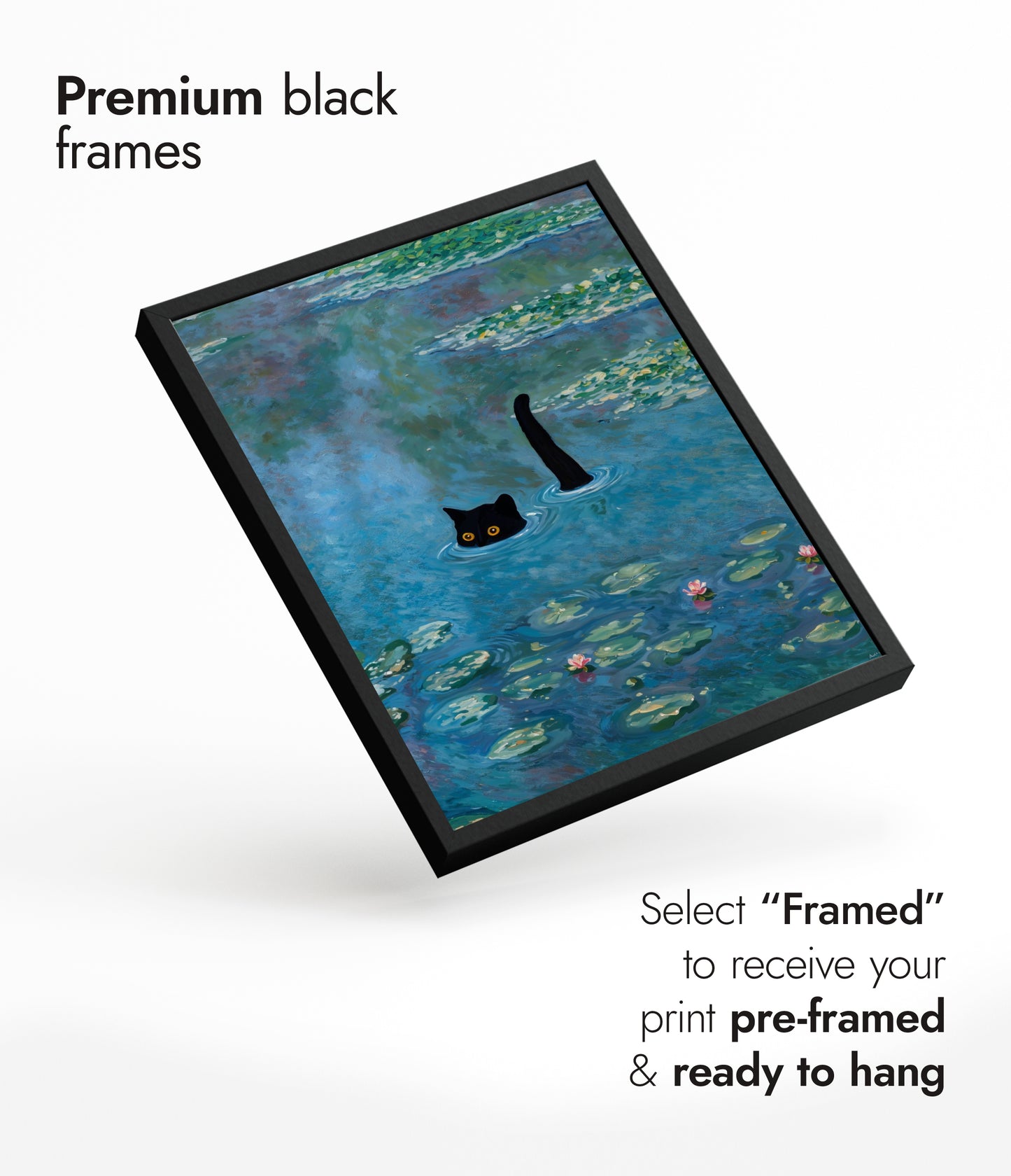 Svart katt bland näckrosor