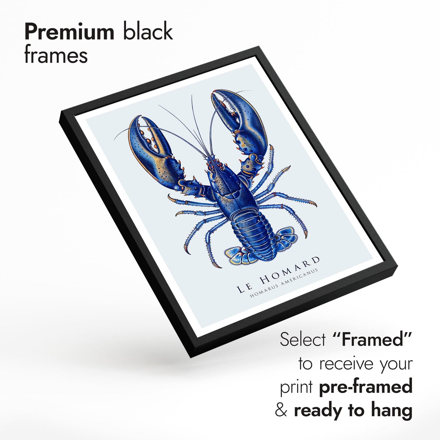 Blaue Meer Lebensausstellung