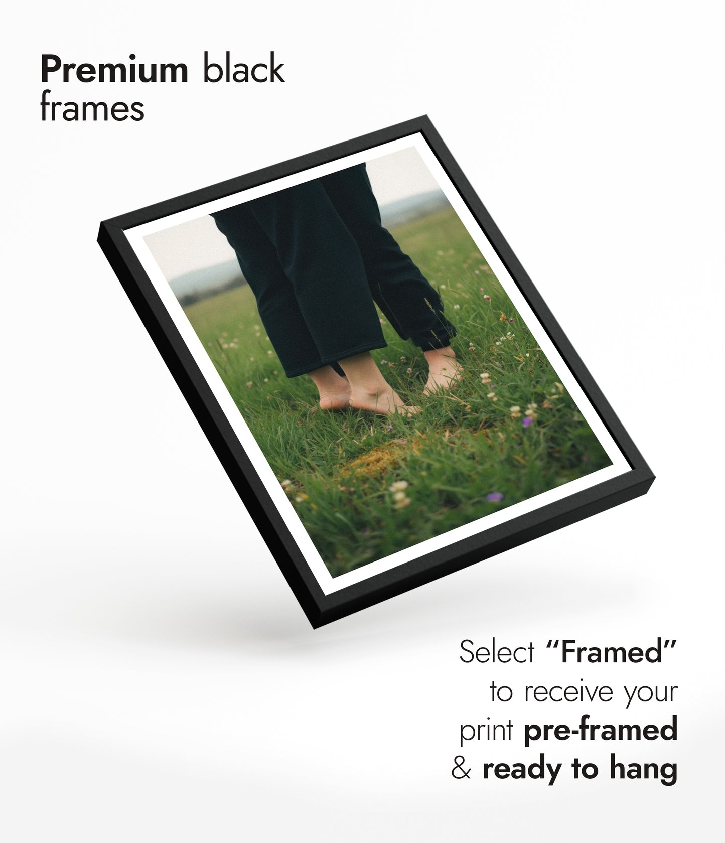 Meet Me in the Fields