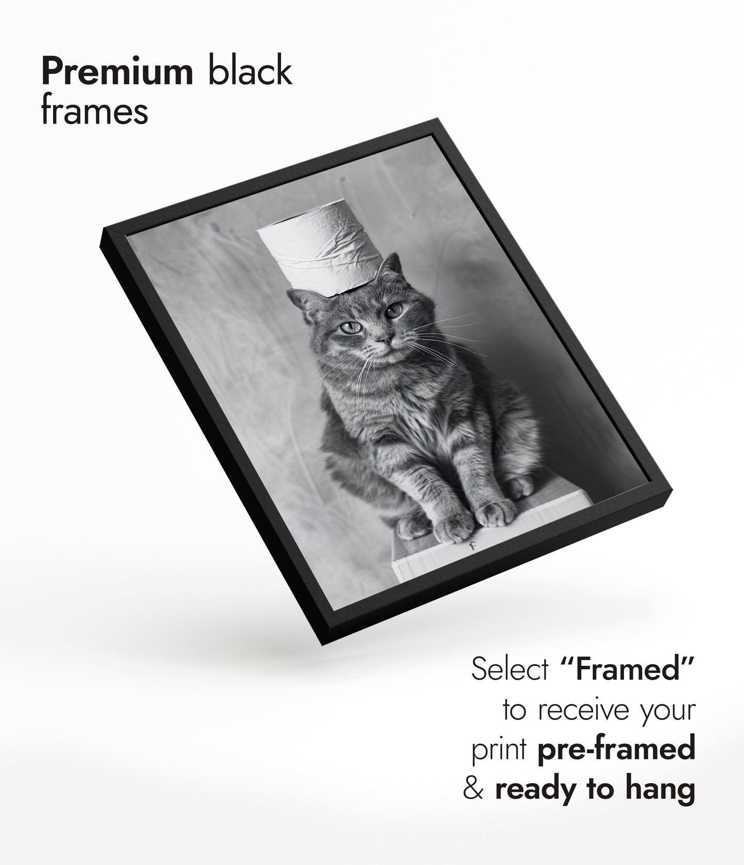 Pawsitive Roll Model