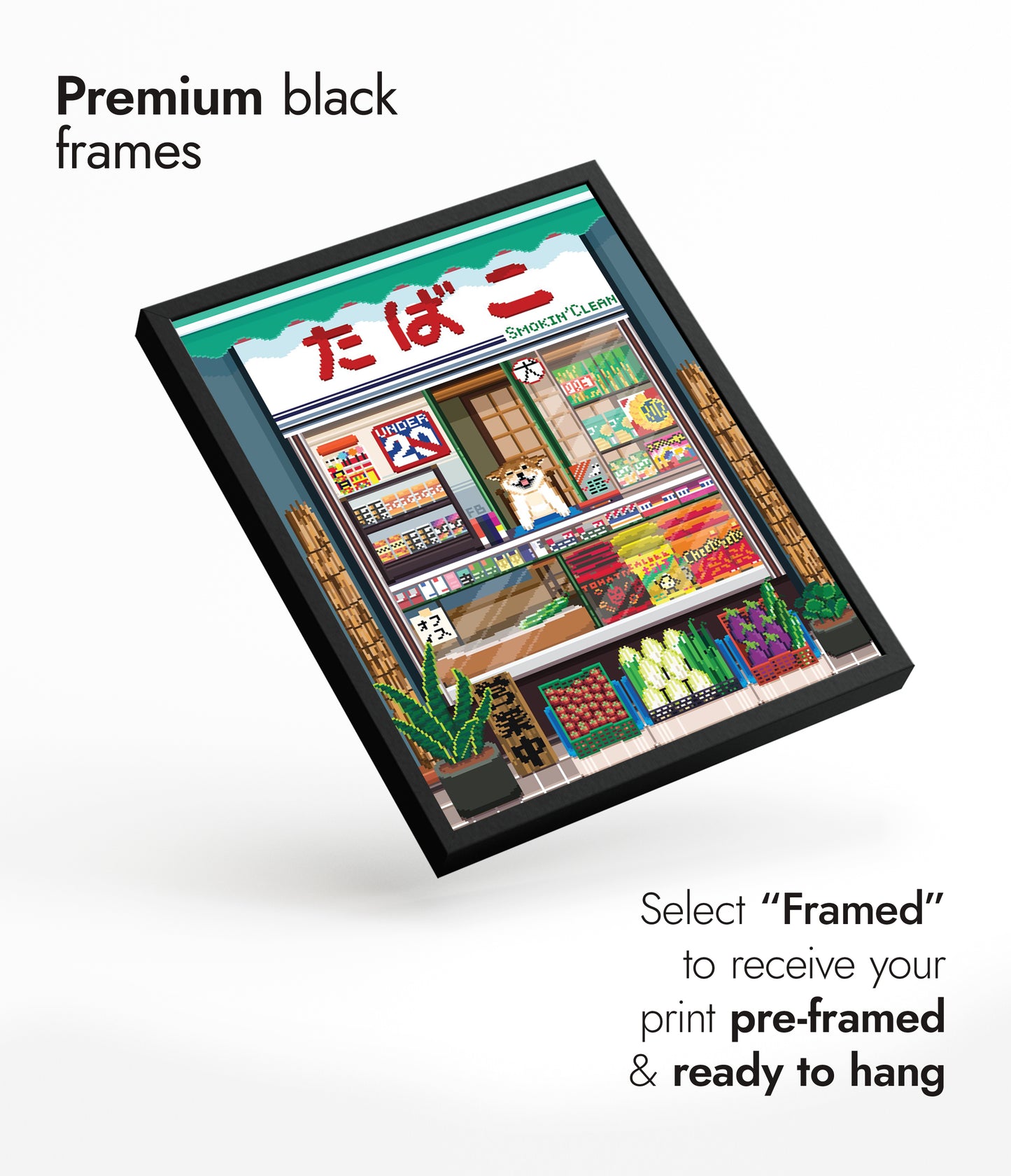 The Unusual Shopkeeper